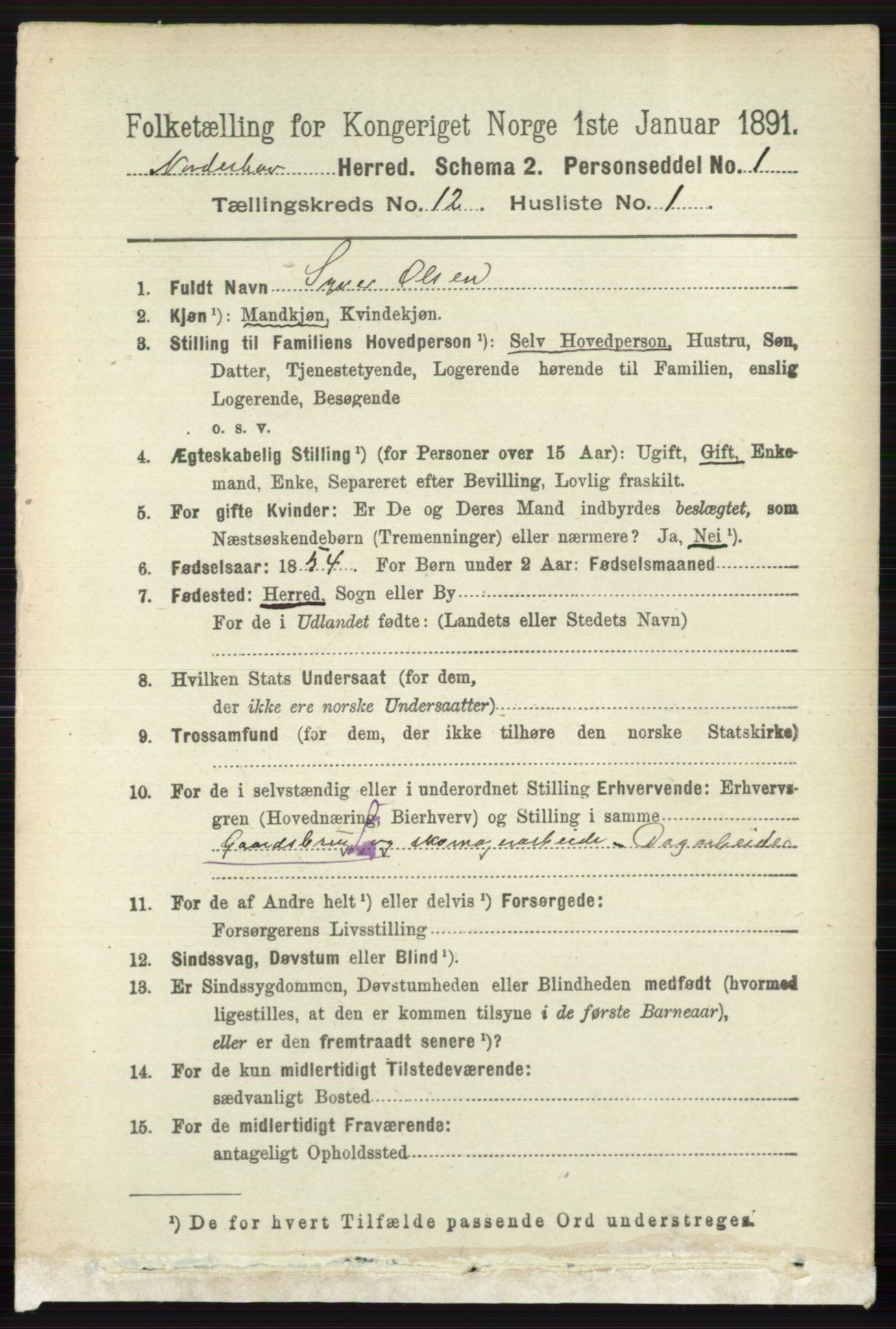 RA, 1891 census for 0613 Norderhov, 1891, p. 8538