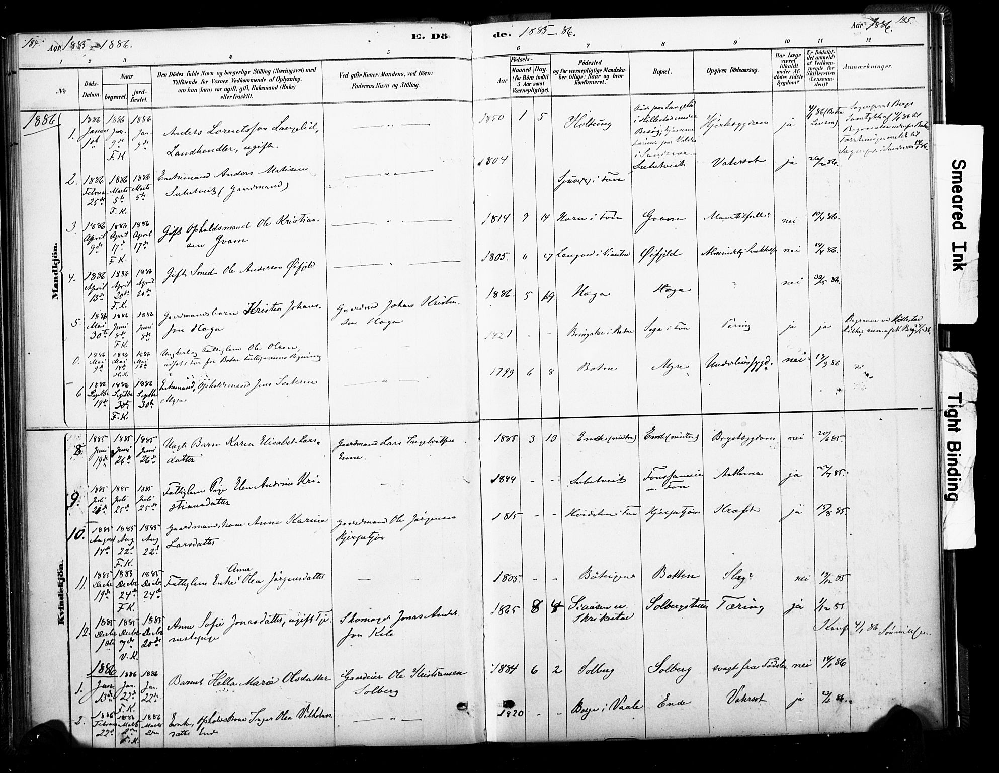 Ramnes kirkebøker, AV/SAKO-A-314/F/Fb/L0001: Parish register (official) no. II 1, 1878-1894, p. 184-185