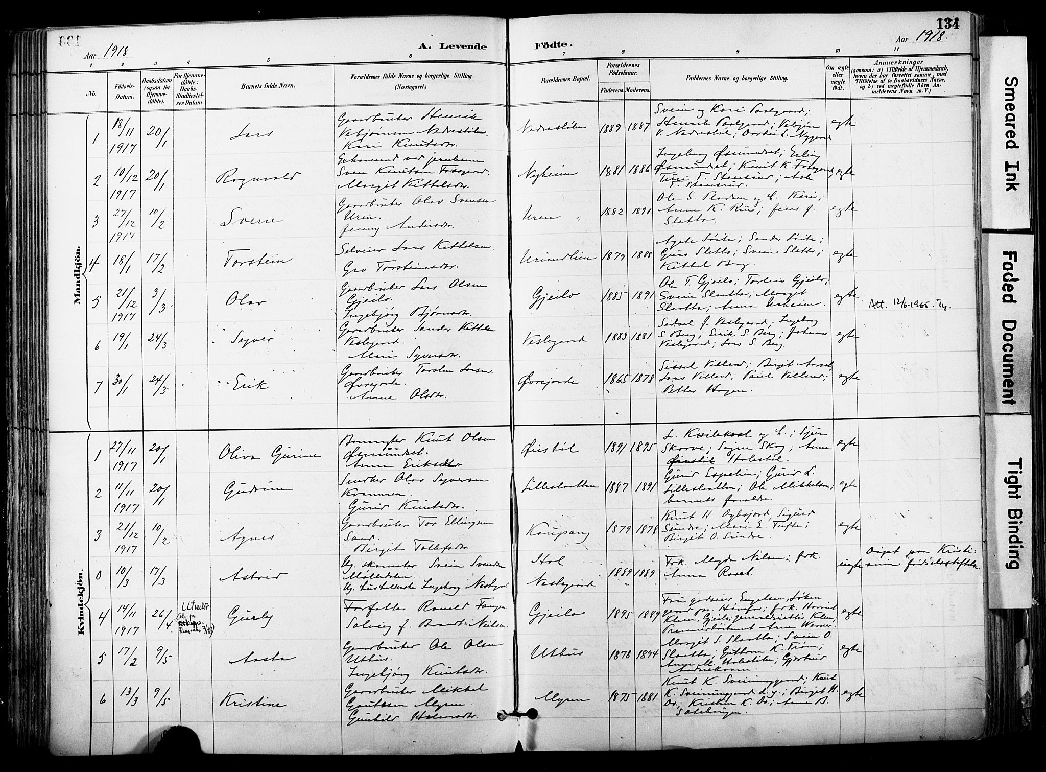 Hol kirkebøker, AV/SAKO-A-227/F/Fa/L0003: Parish register (official) no. I 3, 1887-1918, p. 134