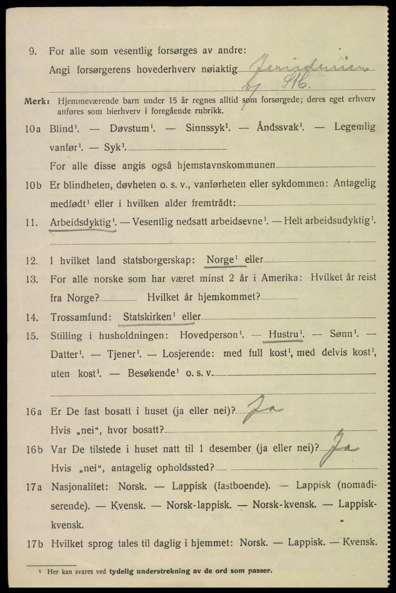 SAT, 1920 census for Narvik, 1920, p. 3989