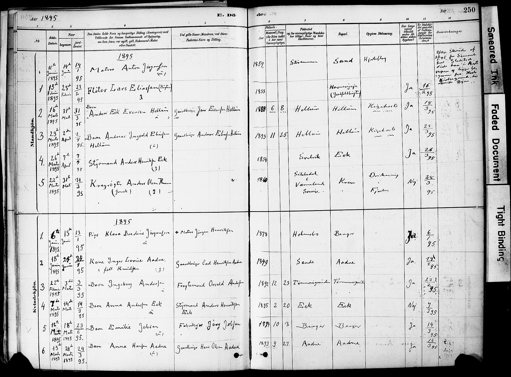 Strømm kirkebøker, AV/SAKO-A-322/F/Fa/L0004: Parish register (official) no. I 4, 1878-1899, p. 250