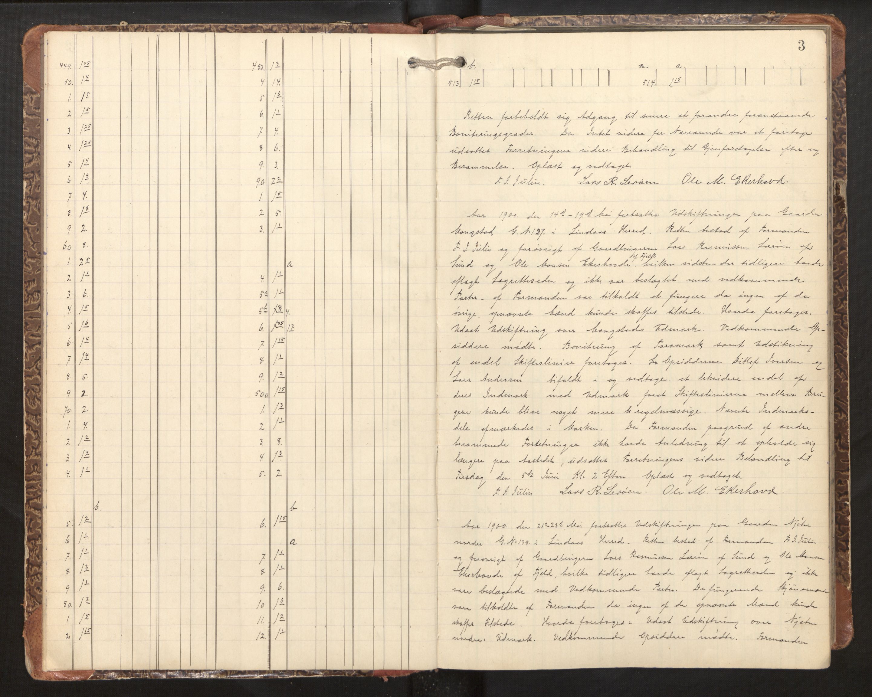 Hordaland jordskiftedøme - II Ytre Nordhordland jordskiftedistrikt, AV/SAB-A-6901/A/Aa/L0010: Forhandlingsprotokoll, 1900-1904, p. 2b-3a