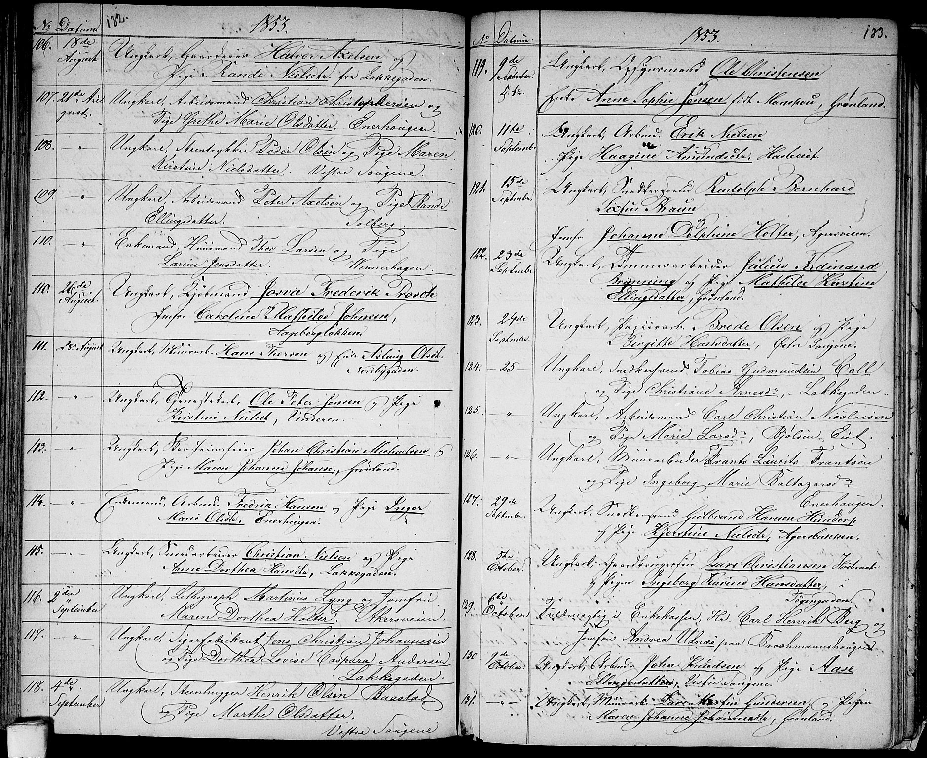 Aker prestekontor kirkebøker, AV/SAO-A-10861/G/L0011: Parish register (copy) no. 11, 1846-1859, p. 132-133