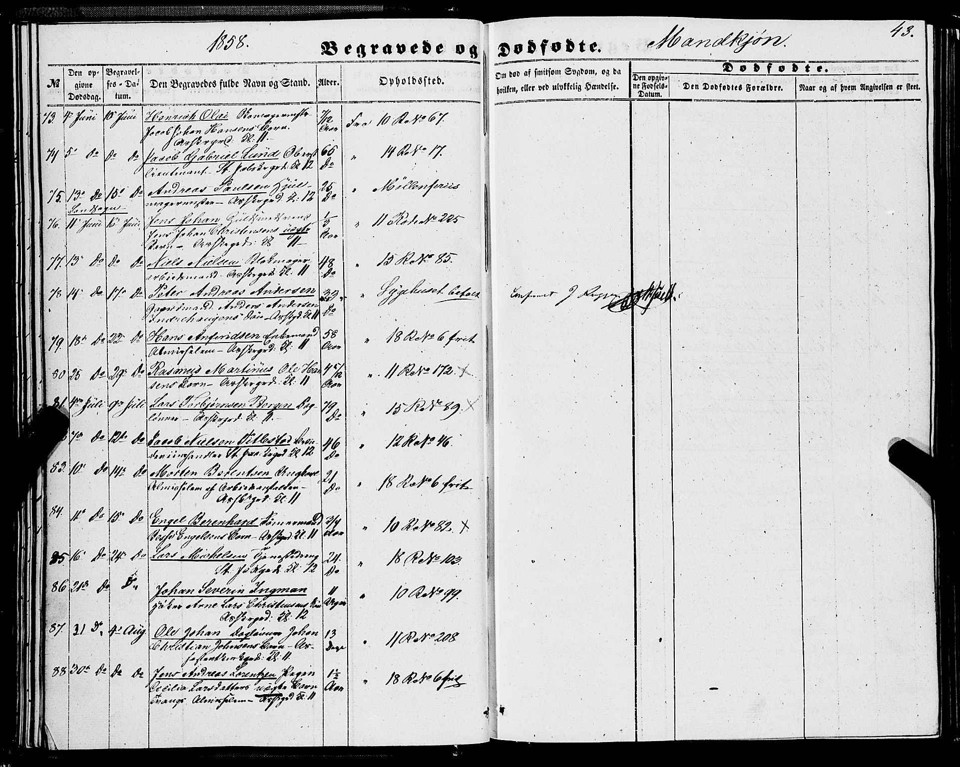 Domkirken sokneprestembete, AV/SAB-A-74801/H/Haa/L0041: Parish register (official) no. E 2, 1853-1863, p. 43