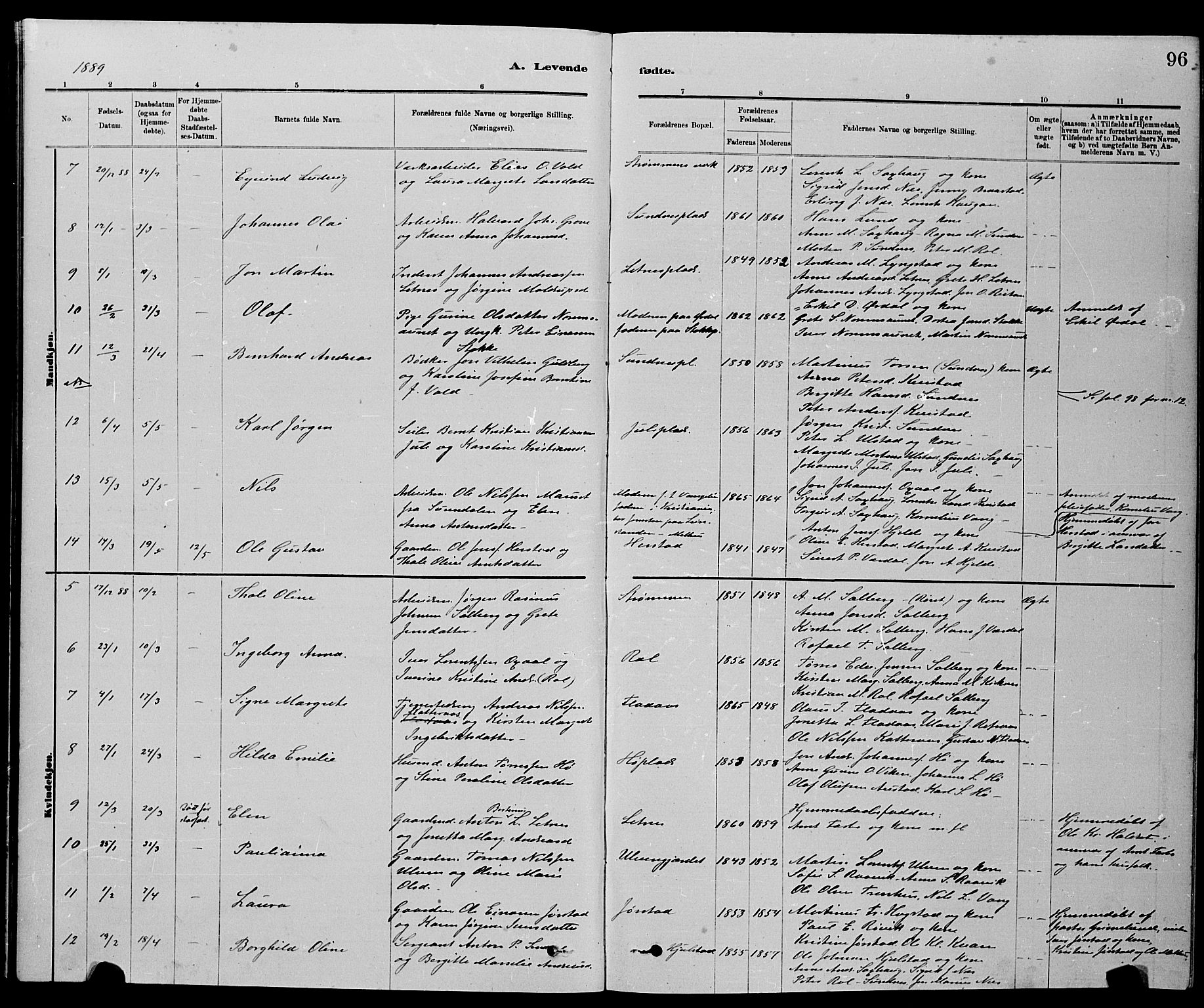 Ministerialprotokoller, klokkerbøker og fødselsregistre - Nord-Trøndelag, SAT/A-1458/730/L0301: Parish register (copy) no. 730C04, 1880-1897, p. 96