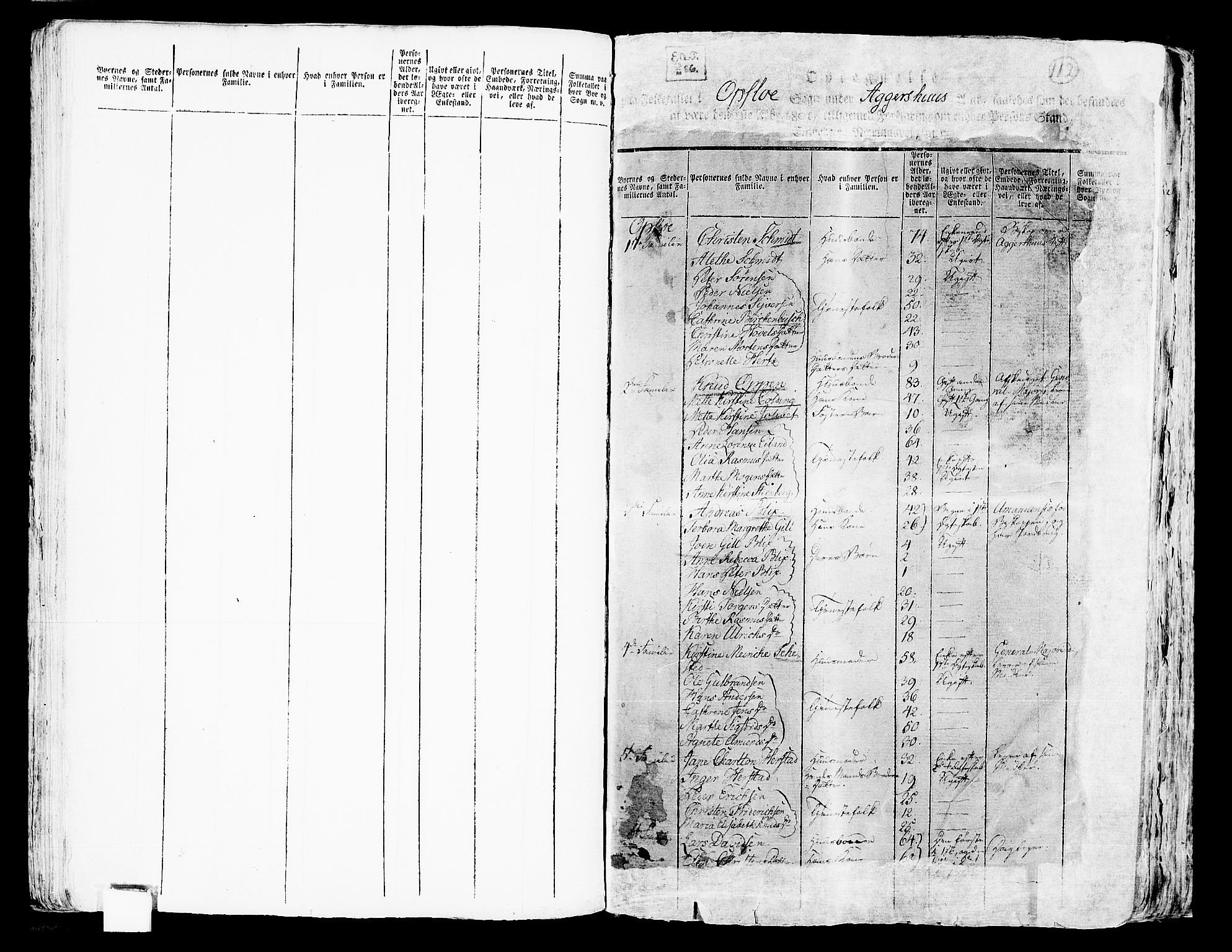 RA, 1801 census for 0218cM Oslo, 1801, p. 111b-112a