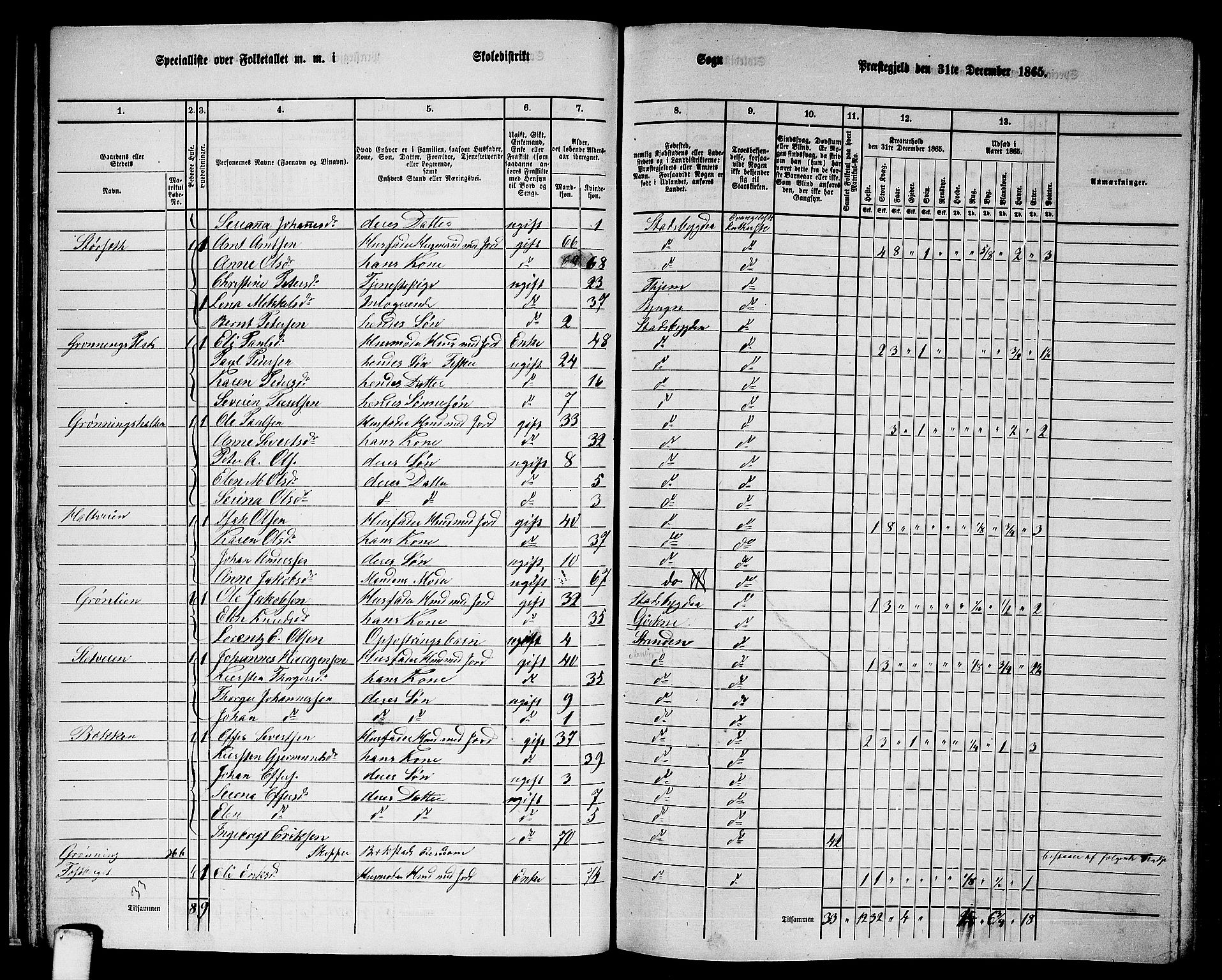 RA, 1865 census for Stadsbygd, 1865, p. 33