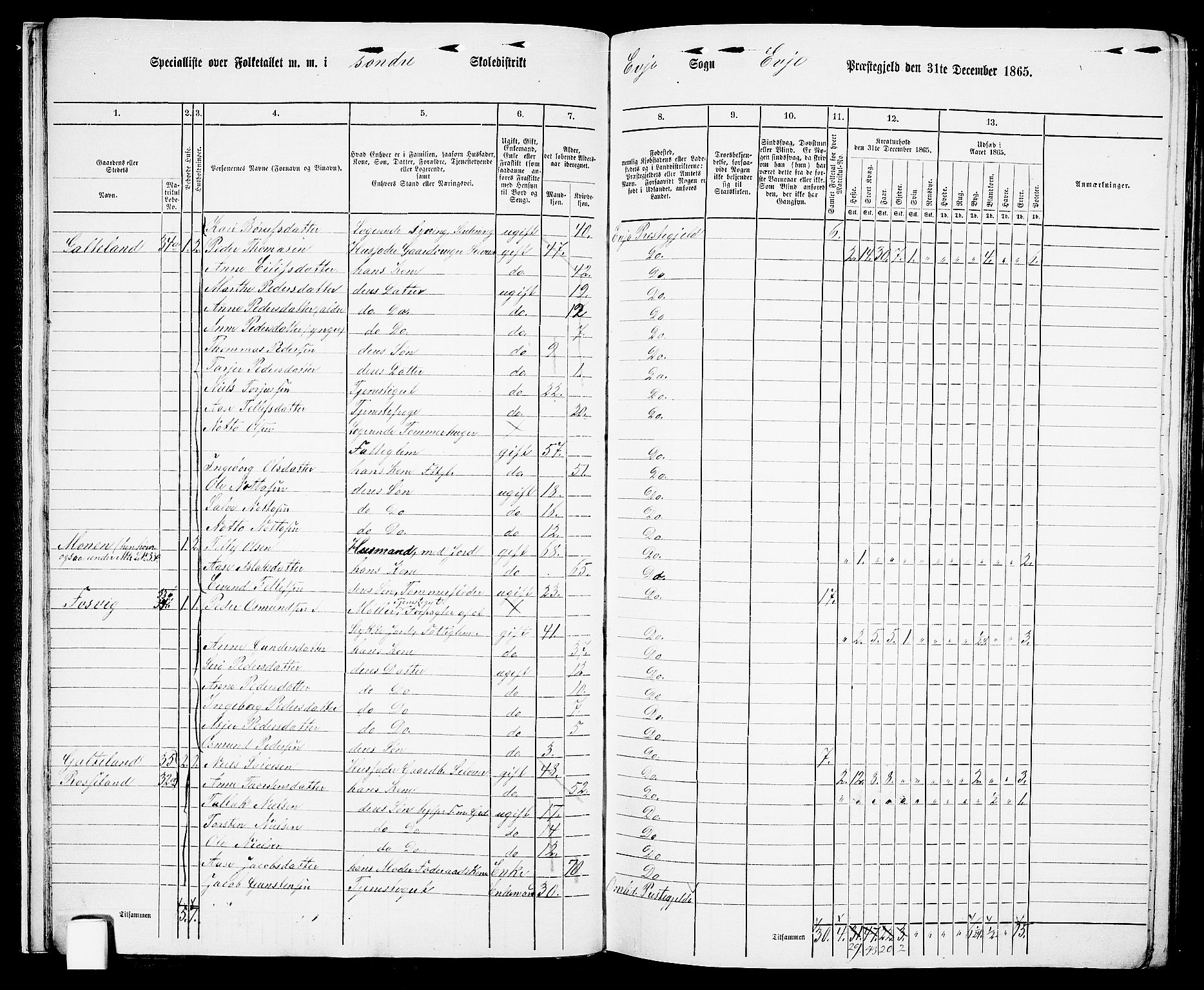 RA, 1865 census for Evje, 1865, p. 17