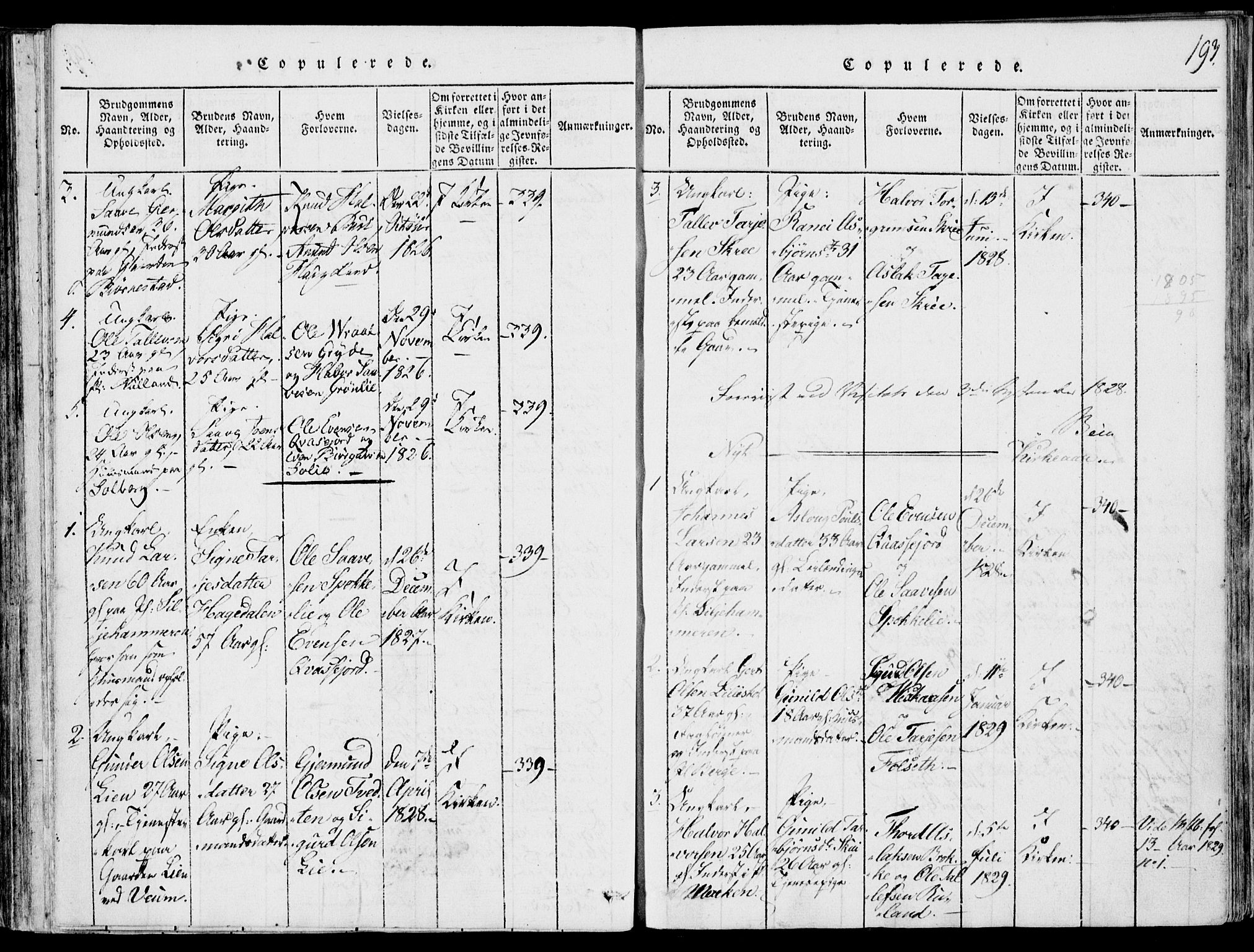 Fyresdal kirkebøker, SAKO/A-263/F/Fb/L0001: Parish register (official) no. II 1, 1815-1854, p. 193
