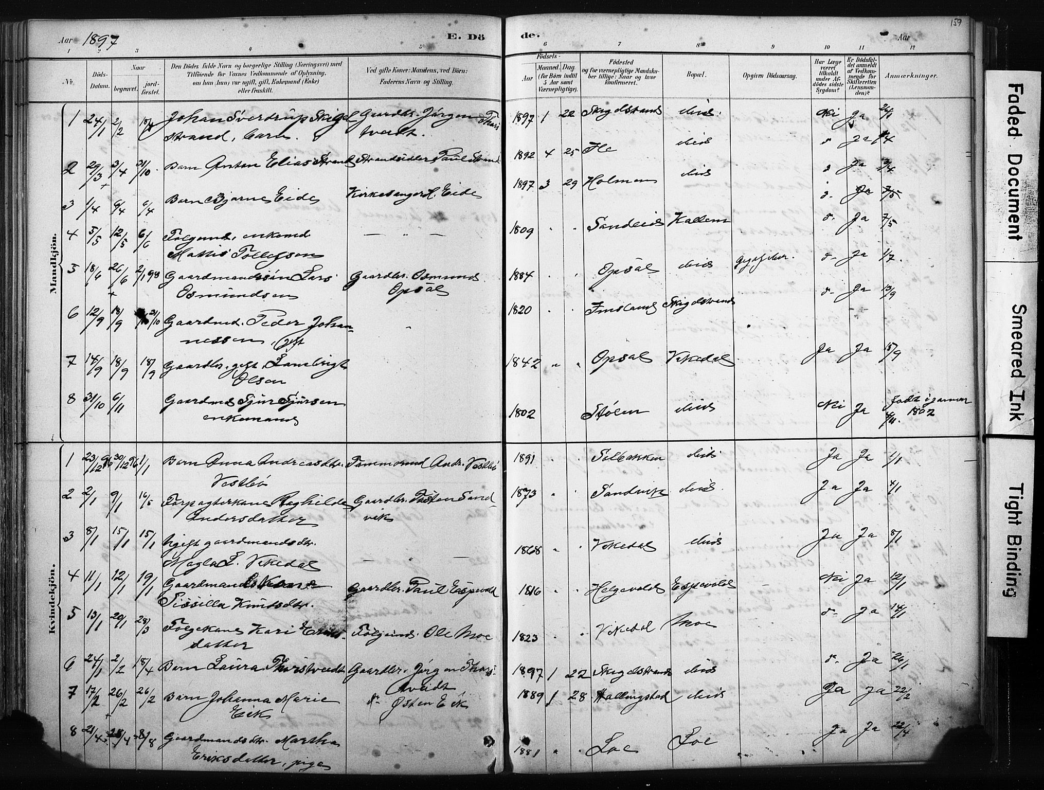 Vikedal sokneprestkontor, AV/SAST-A-101840/01/IV: Parish register (official) no. A 10, 1884-1907, p. 159