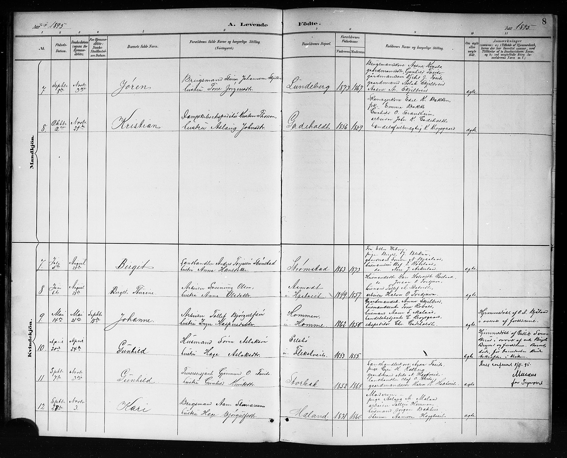 Lårdal kirkebøker, SAKO/A-284/G/Ga/L0003: Parish register (copy) no. I 3, 1891-1918, p. 8