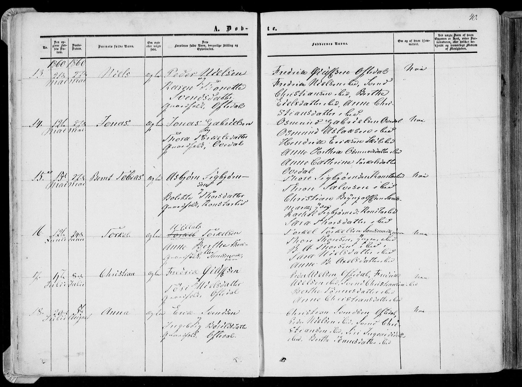 Bakke sokneprestkontor, AV/SAK-1111-0002/F/Fa/Faa/L0006: Parish register (official) no. A 6, 1855-1877, p. 40