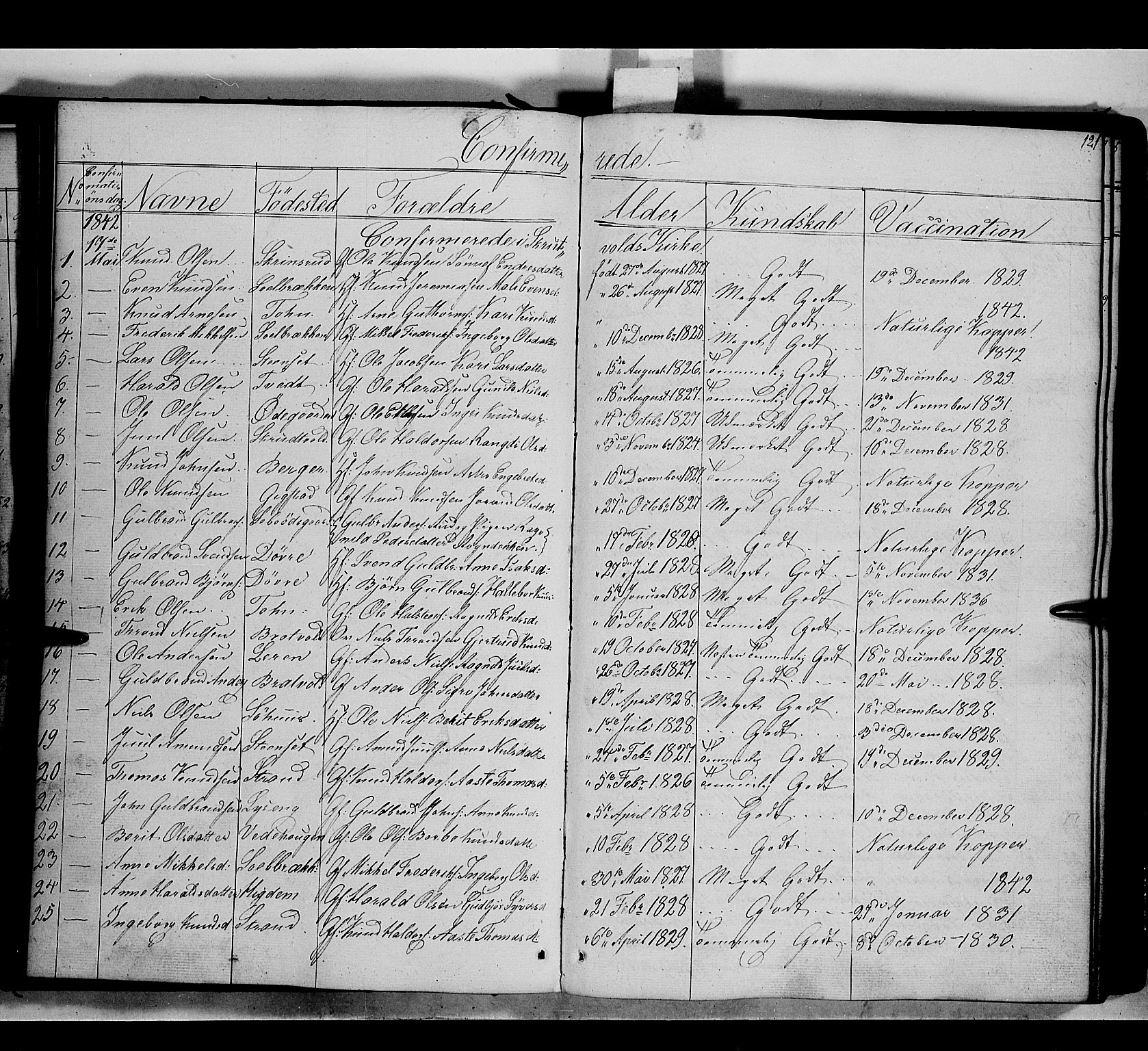 Nord-Aurdal prestekontor, SAH/PREST-132/H/Ha/Haa/L0007: Parish register (official) no. 7, 1842-1863, p. 121