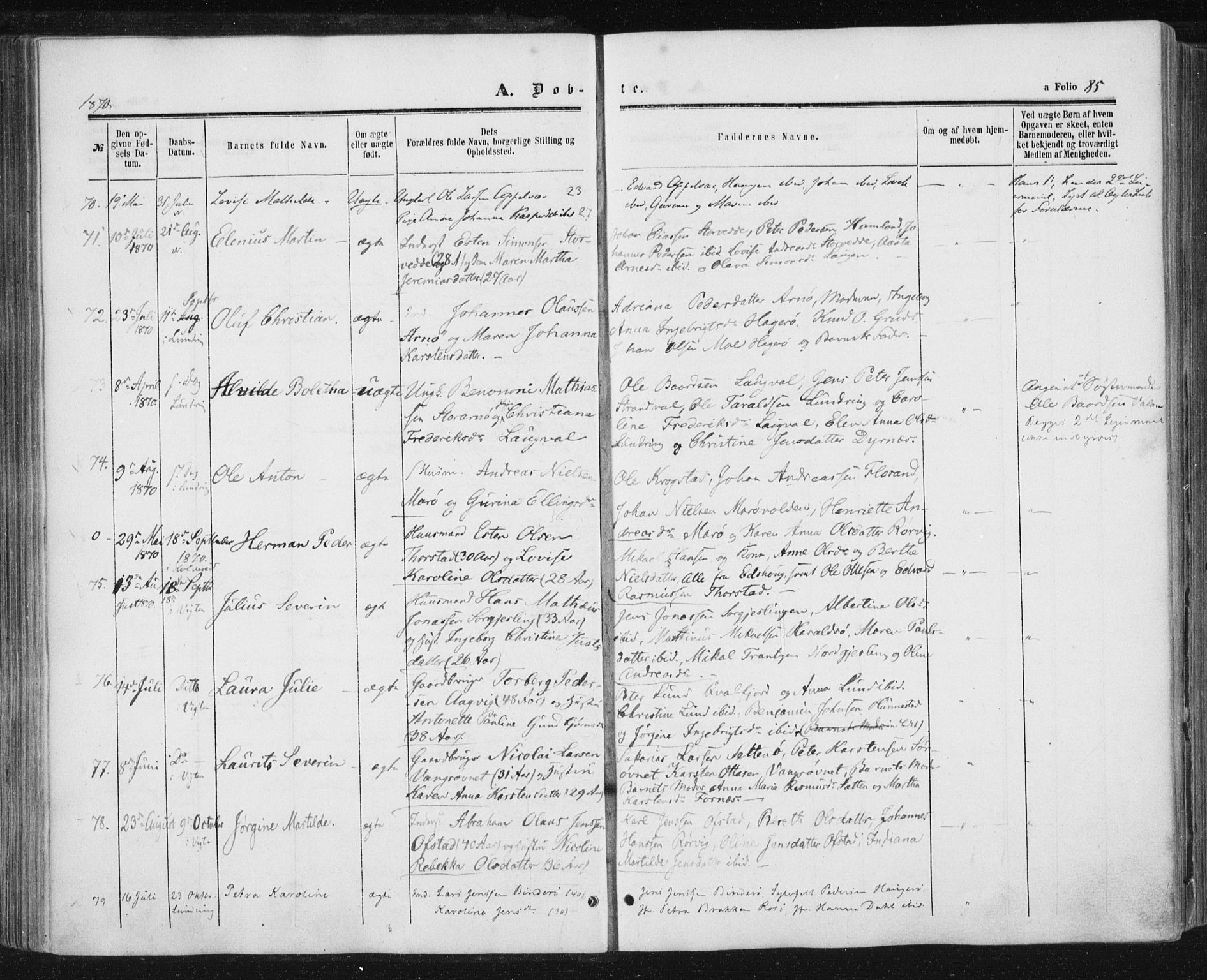 Ministerialprotokoller, klokkerbøker og fødselsregistre - Nord-Trøndelag, SAT/A-1458/784/L0670: Parish register (official) no. 784A05, 1860-1876, p. 85
