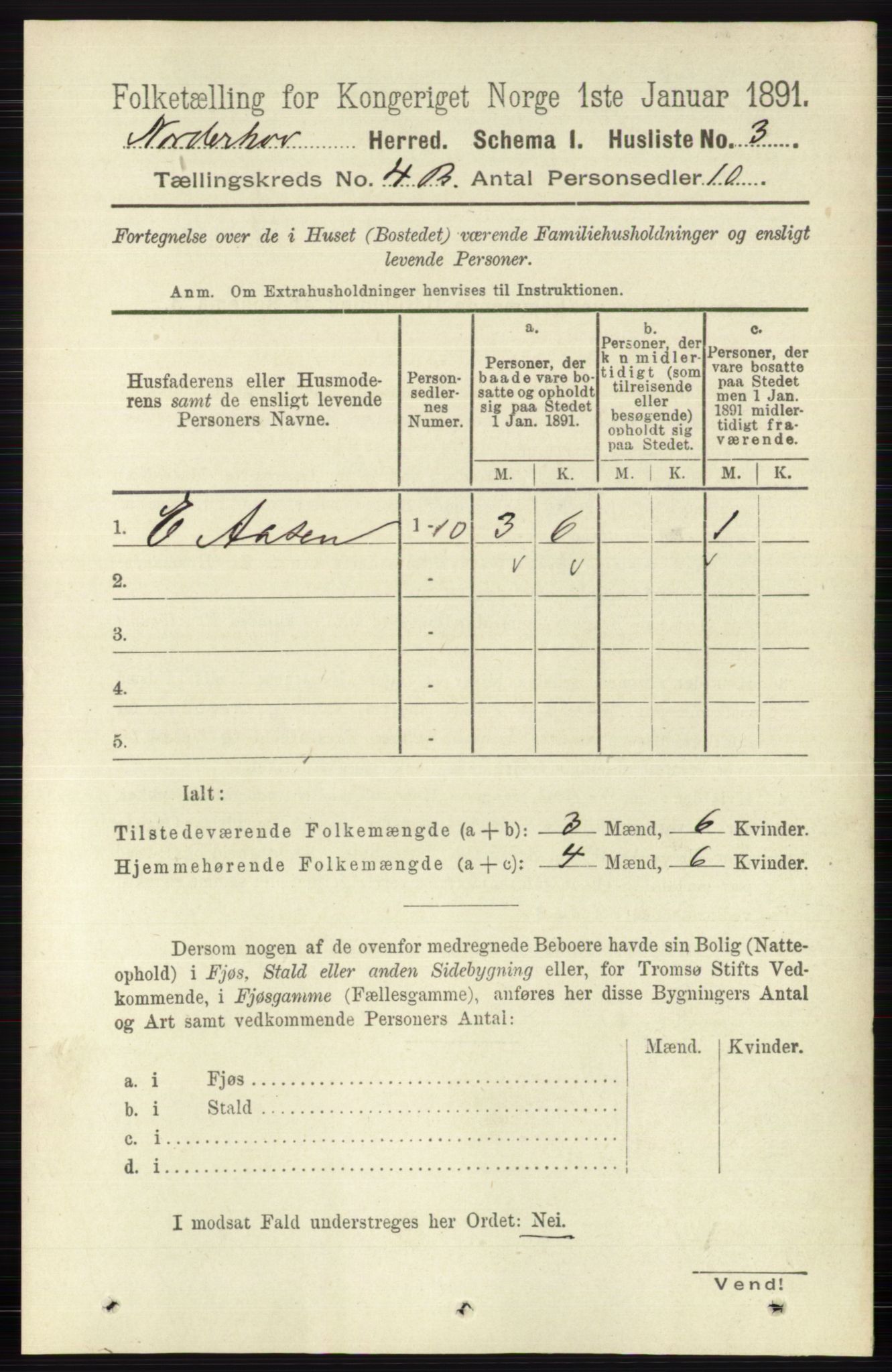 RA, 1891 census for 0613 Norderhov, 1891, p. 1873