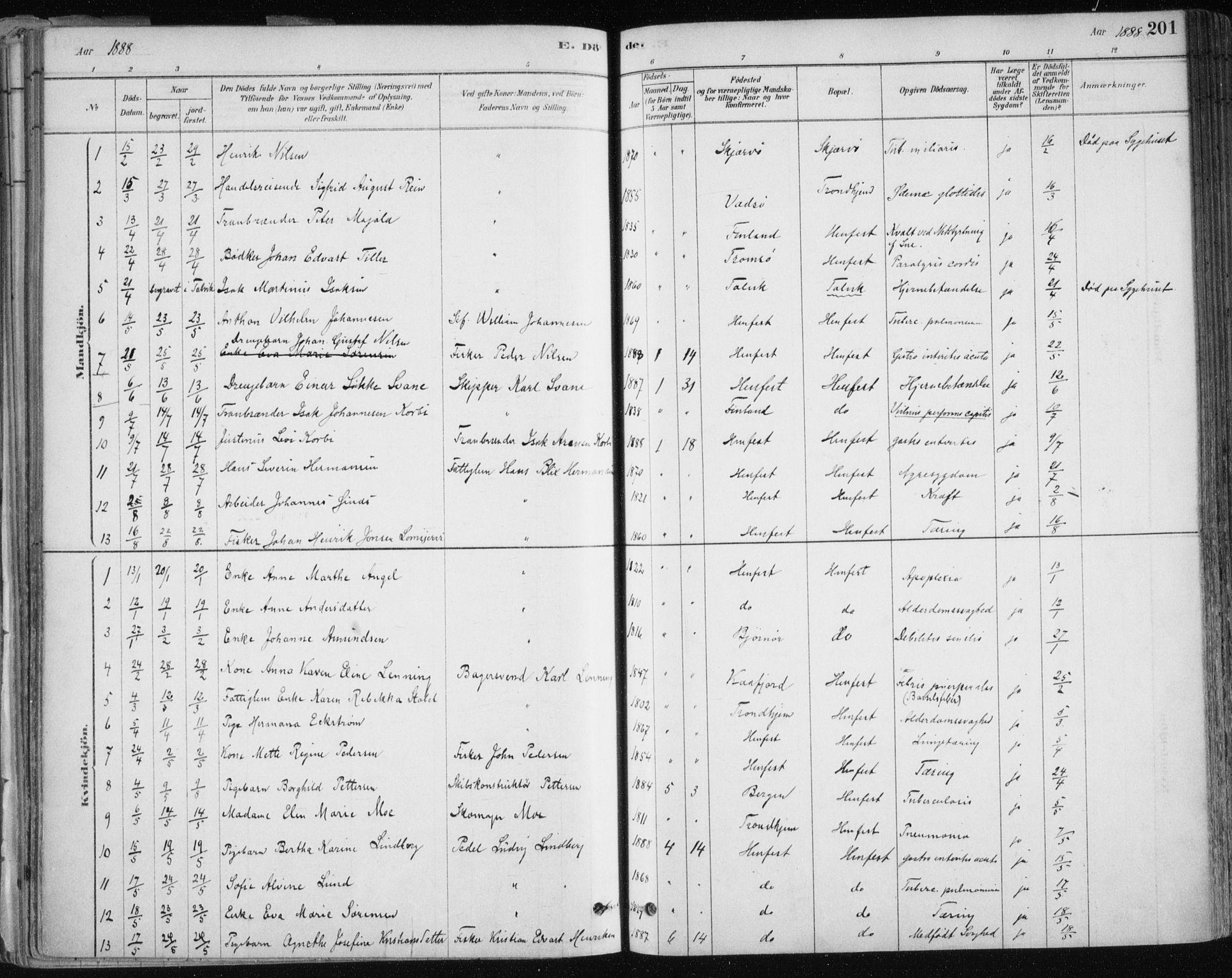 Hammerfest sokneprestkontor, SATØ/S-1347/H/Ha/L0008.kirke: Parish register (official) no. 8, 1878-1889, p. 201