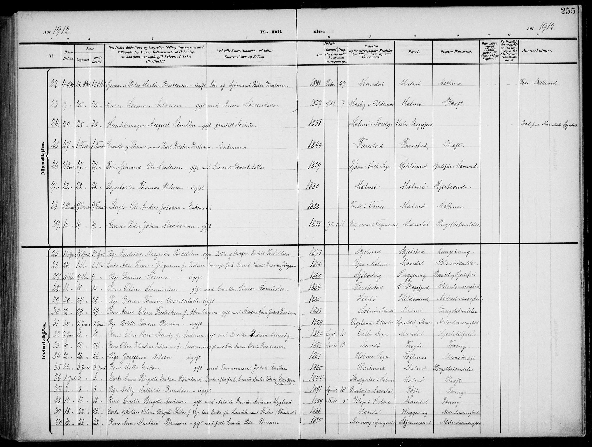 Mandal sokneprestkontor, AV/SAK-1111-0030/F/Fb/Fba/L0012: Parish register (copy) no. B 6, 1899-1918, p. 255