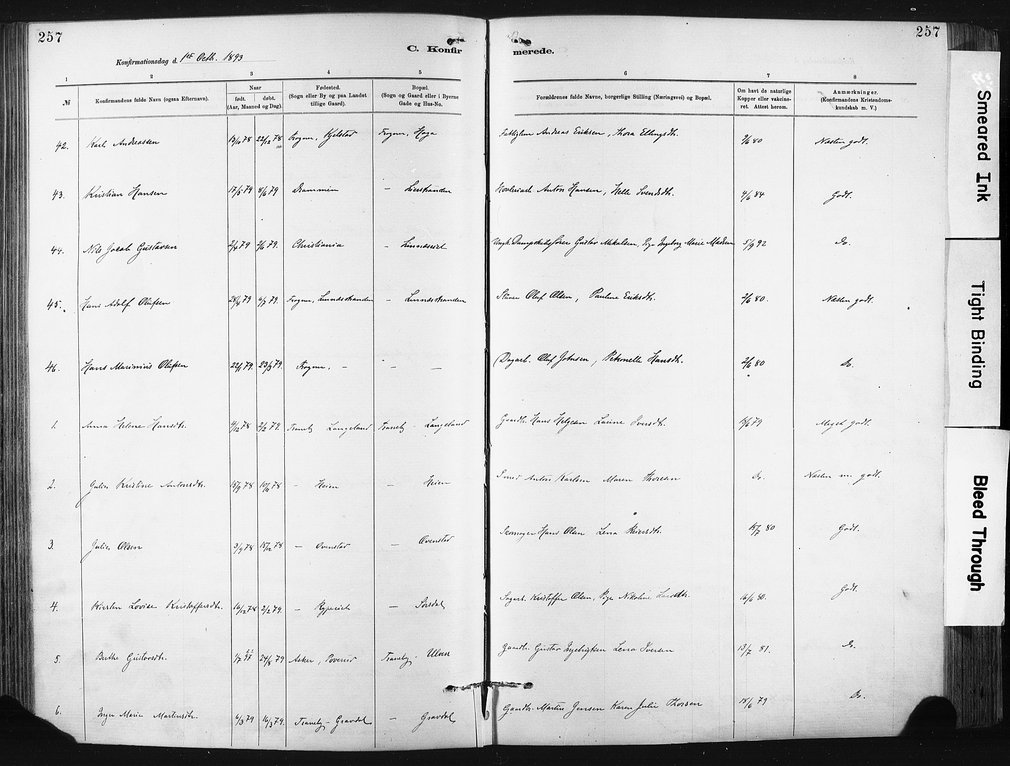 Lier kirkebøker, SAKO/A-230/F/Fa/L0015: Parish register (official) no. I 15, 1883-1894, p. 257