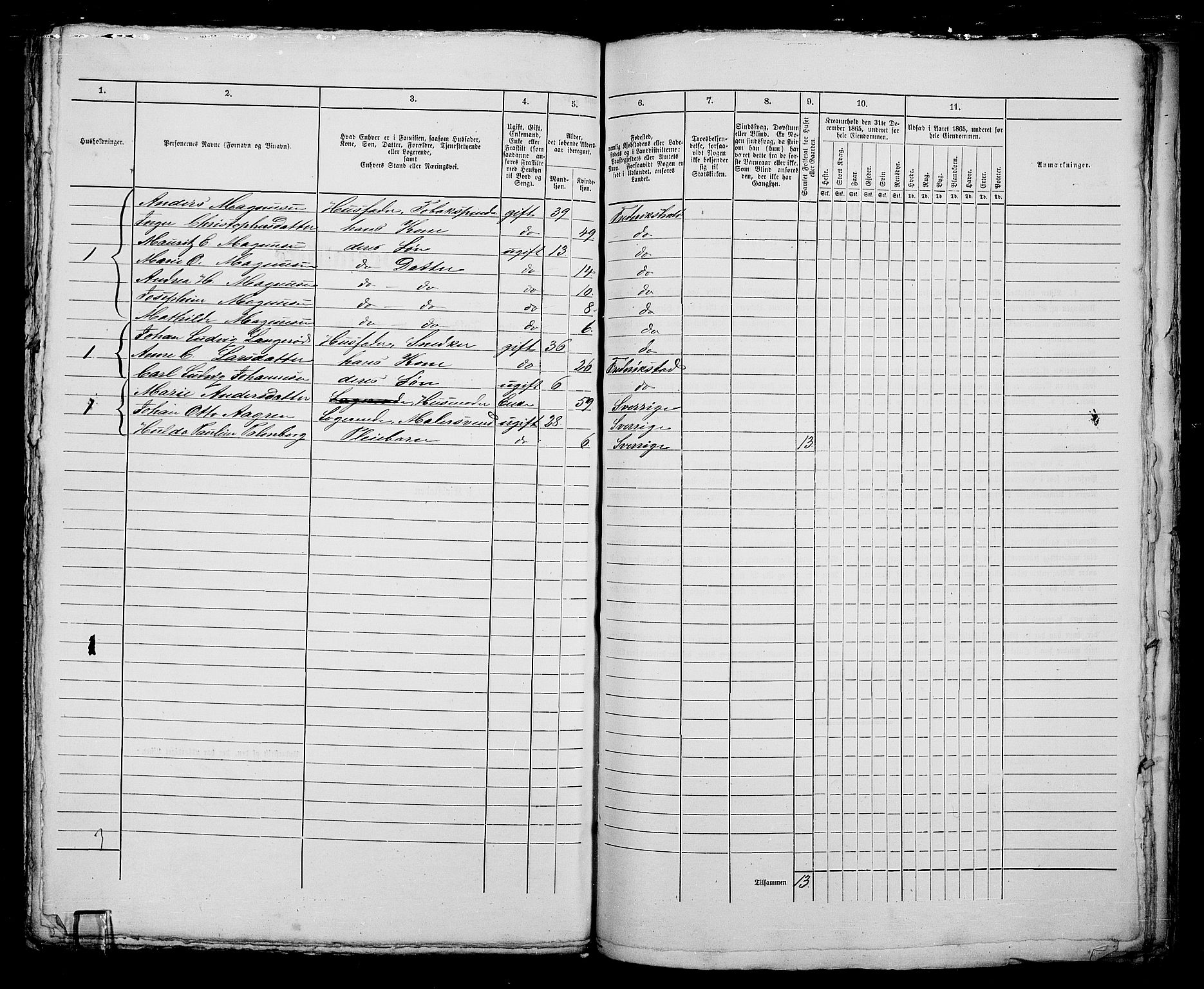RA, 1865 census for Fredrikshald, 1865, p. 1185