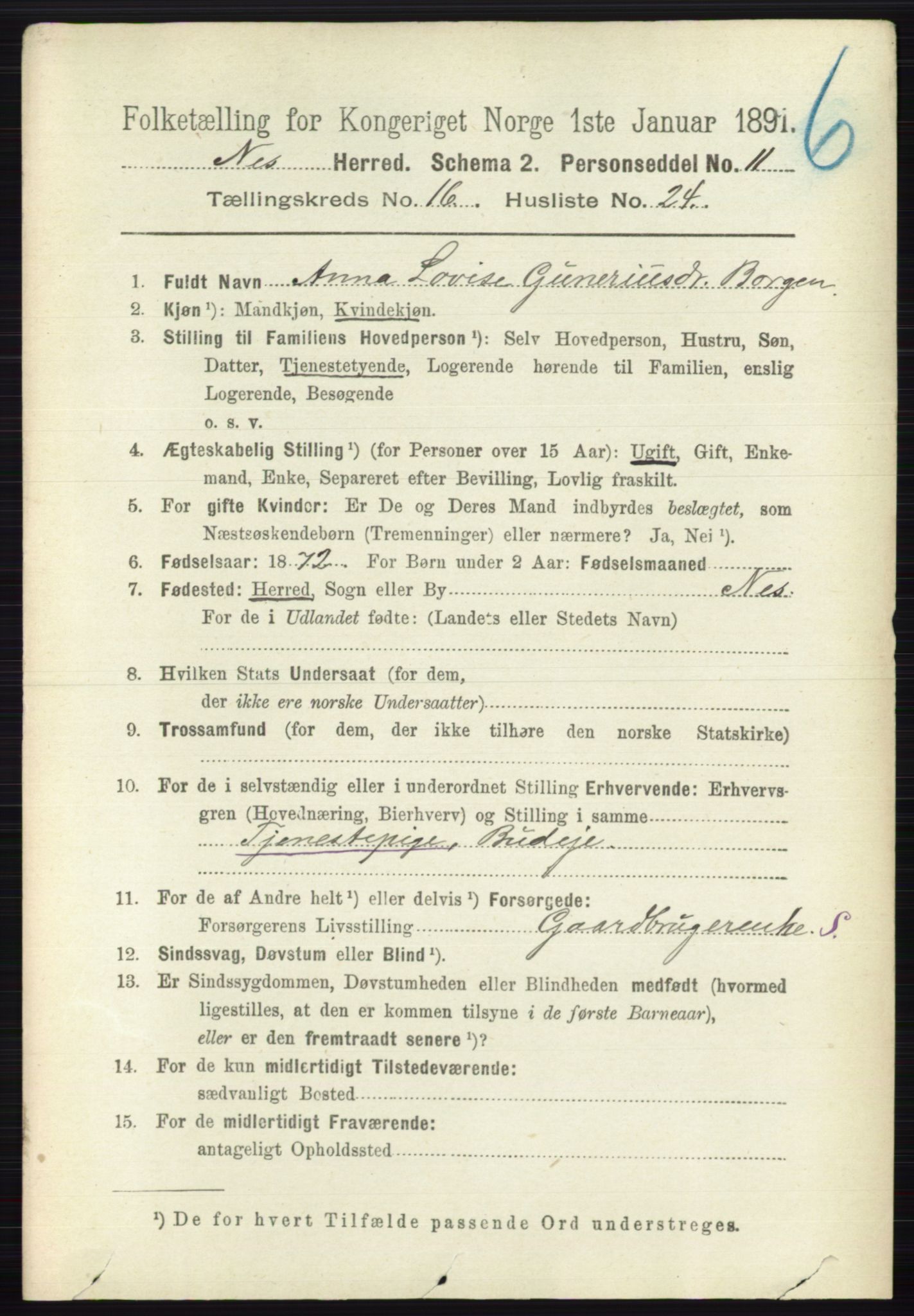 RA, 1891 census for 0236 Nes, 1891, p. 9692