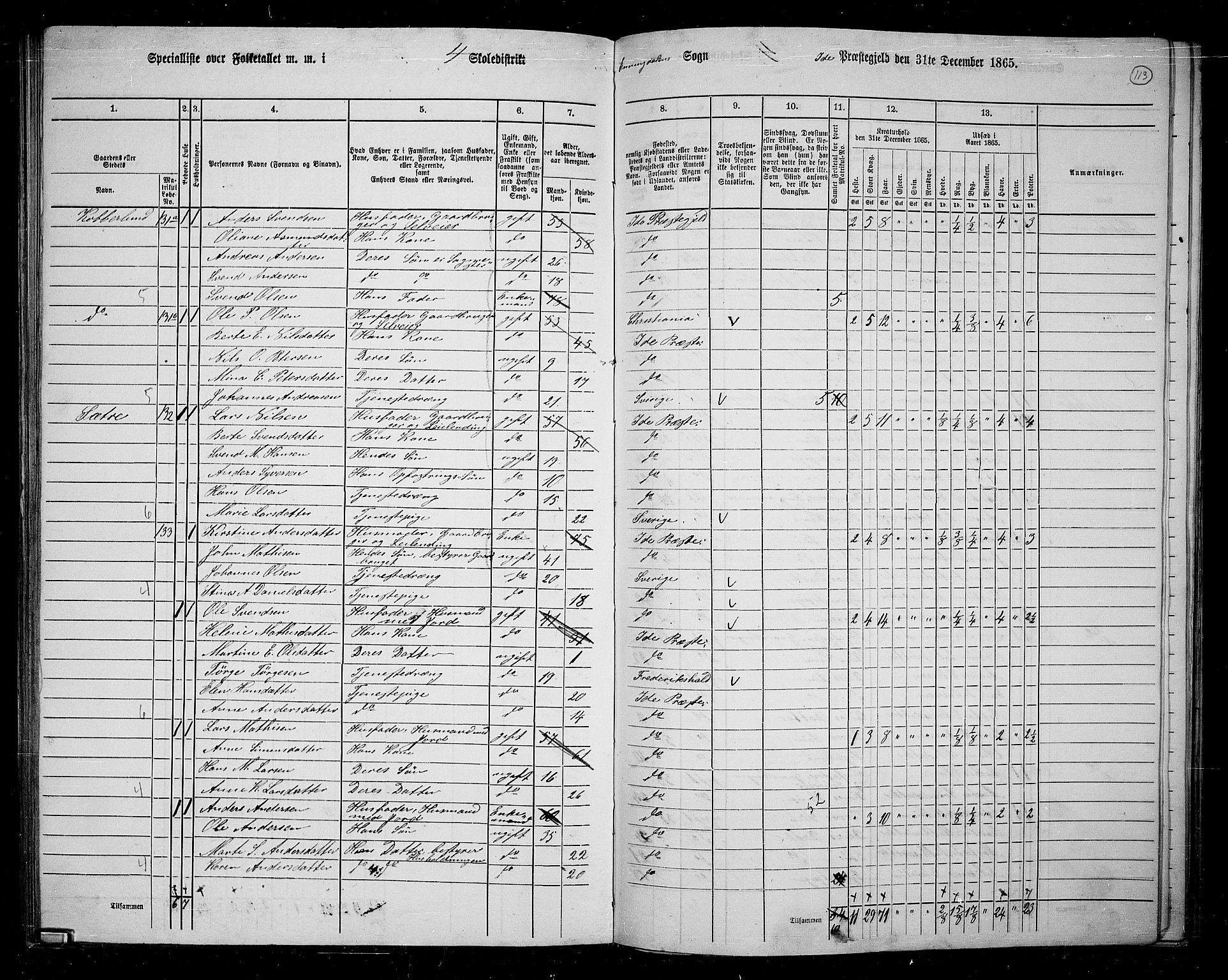 RA, 1865 census for Idd, 1865, p. 102