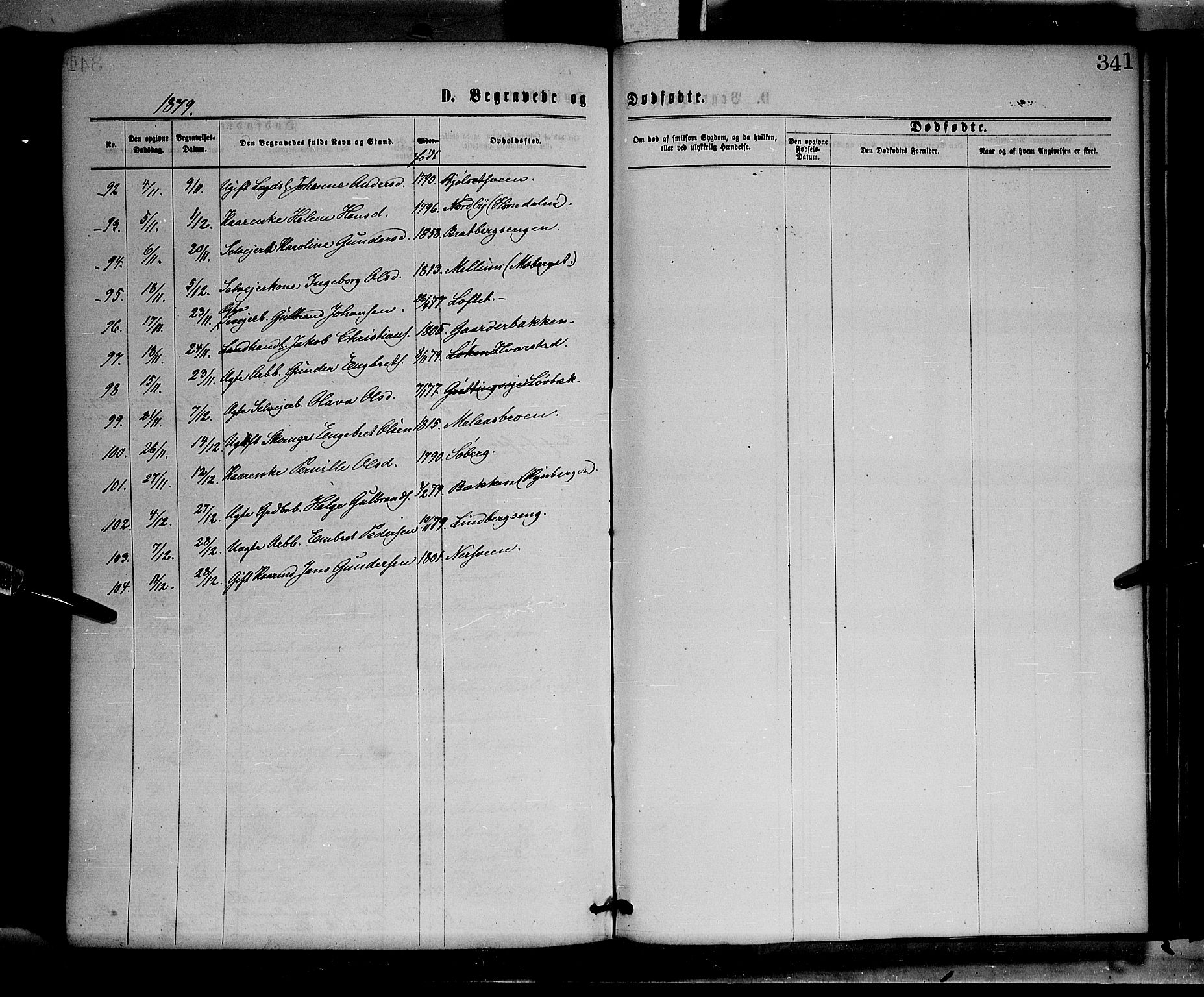 Elverum prestekontor, AV/SAH-PREST-044/H/Ha/Haa/L0011: Parish register (official) no. 11, 1869-1879, p. 341