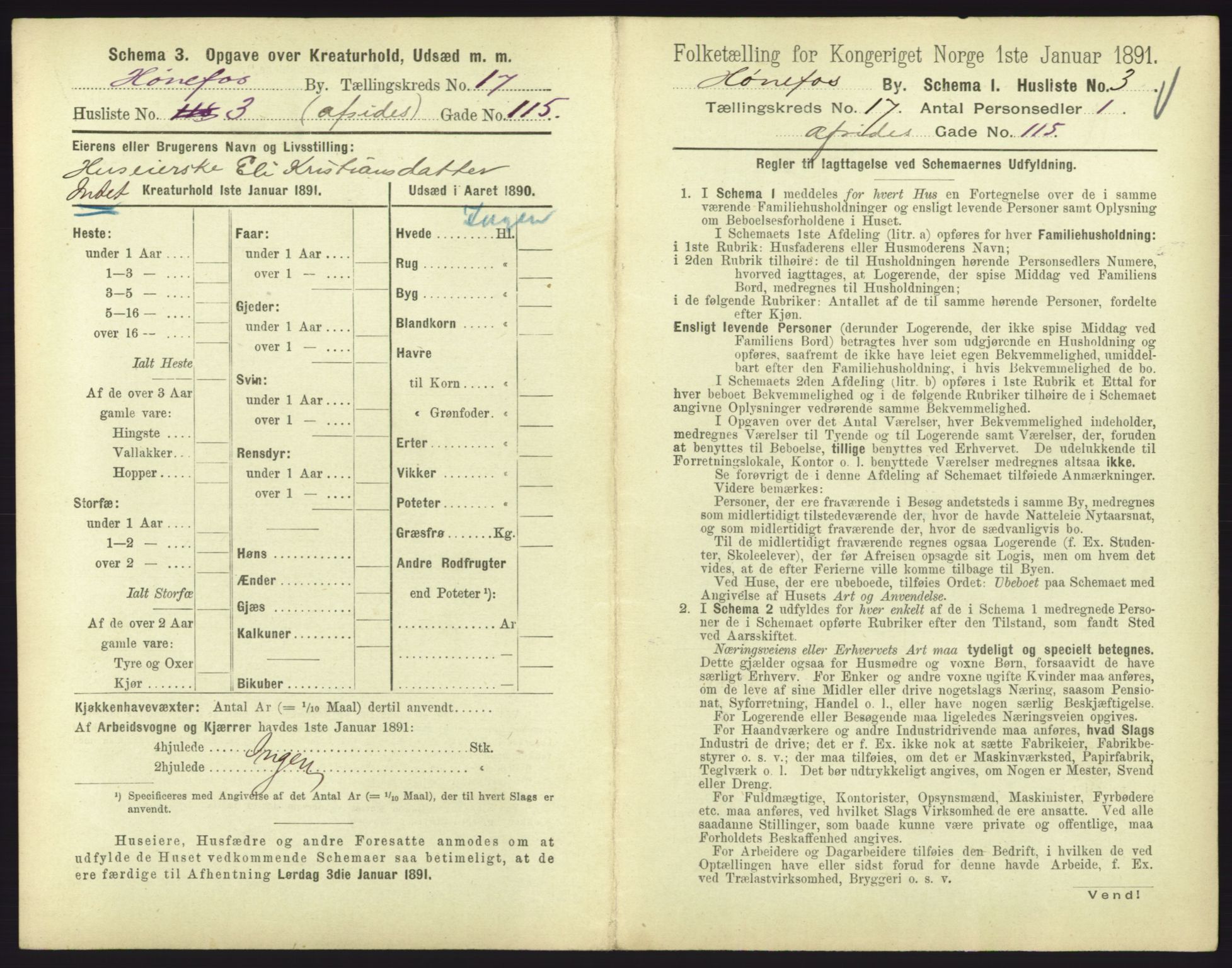 RA, 1891 census for 0601 Hønefoss, 1891, p. 361