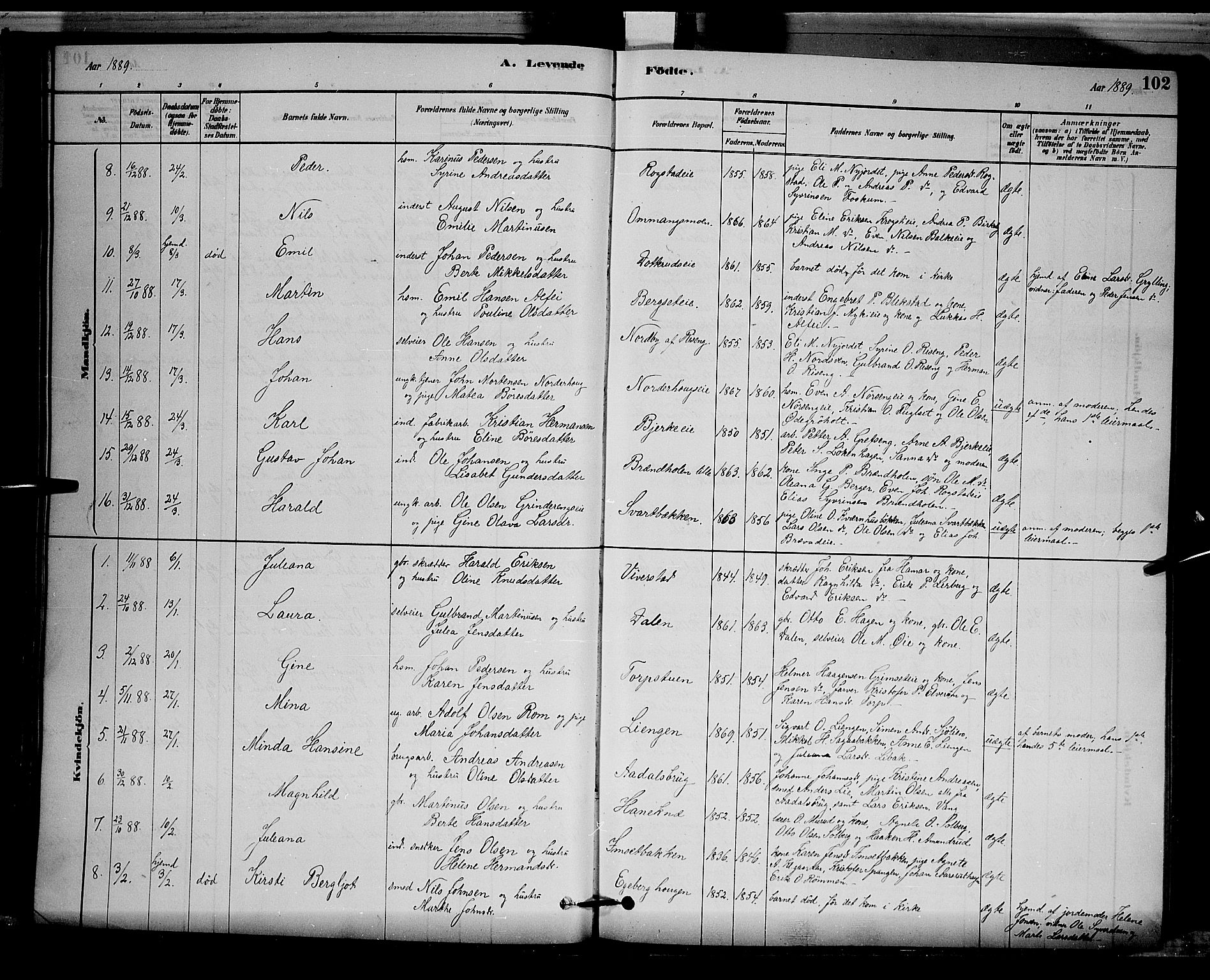 Løten prestekontor, SAH/PREST-022/L/La/L0005: Parish register (copy) no. 5, 1878-1891, p. 102