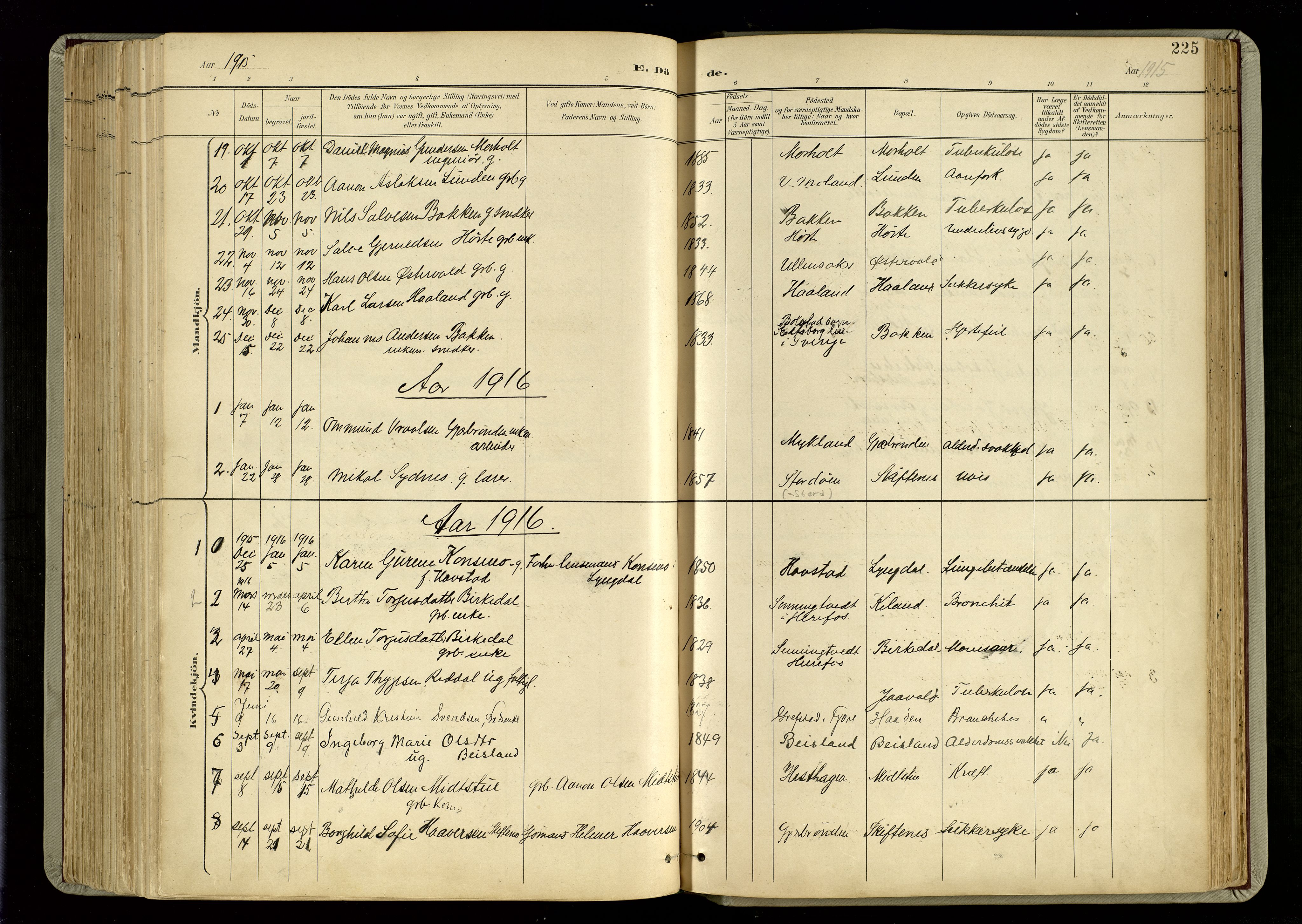 Hommedal sokneprestkontor, AV/SAK-1111-0023/F/Fa/Fab/L0007: Parish register (official) no. A 7, 1898-1924, p. 225