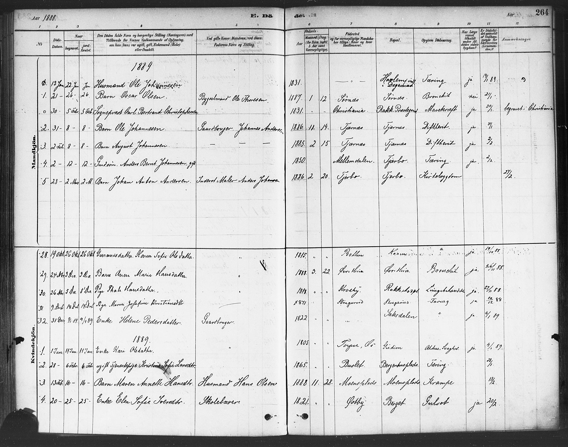 Rakkestad prestekontor Kirkebøker, AV/SAO-A-2008/F/Fa/L0012: Parish register (official) no. I 12, 1878-1893, p. 264