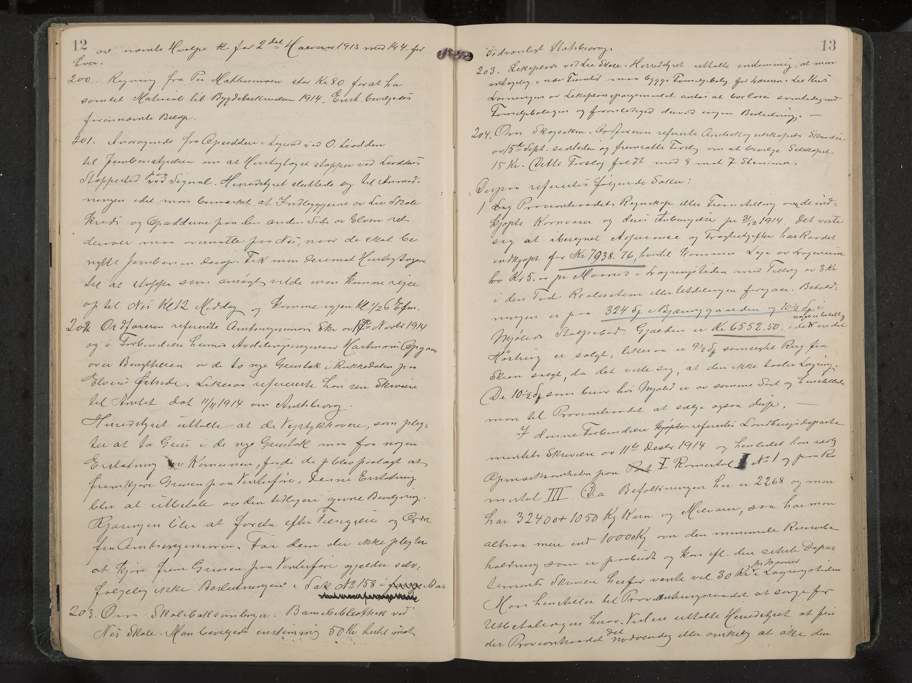 Nes formannskap og sentraladministrasjon, IKAK/0616021-1/A/Aa/L0005: Møtebok med register, 1914-1919, p. 12-13