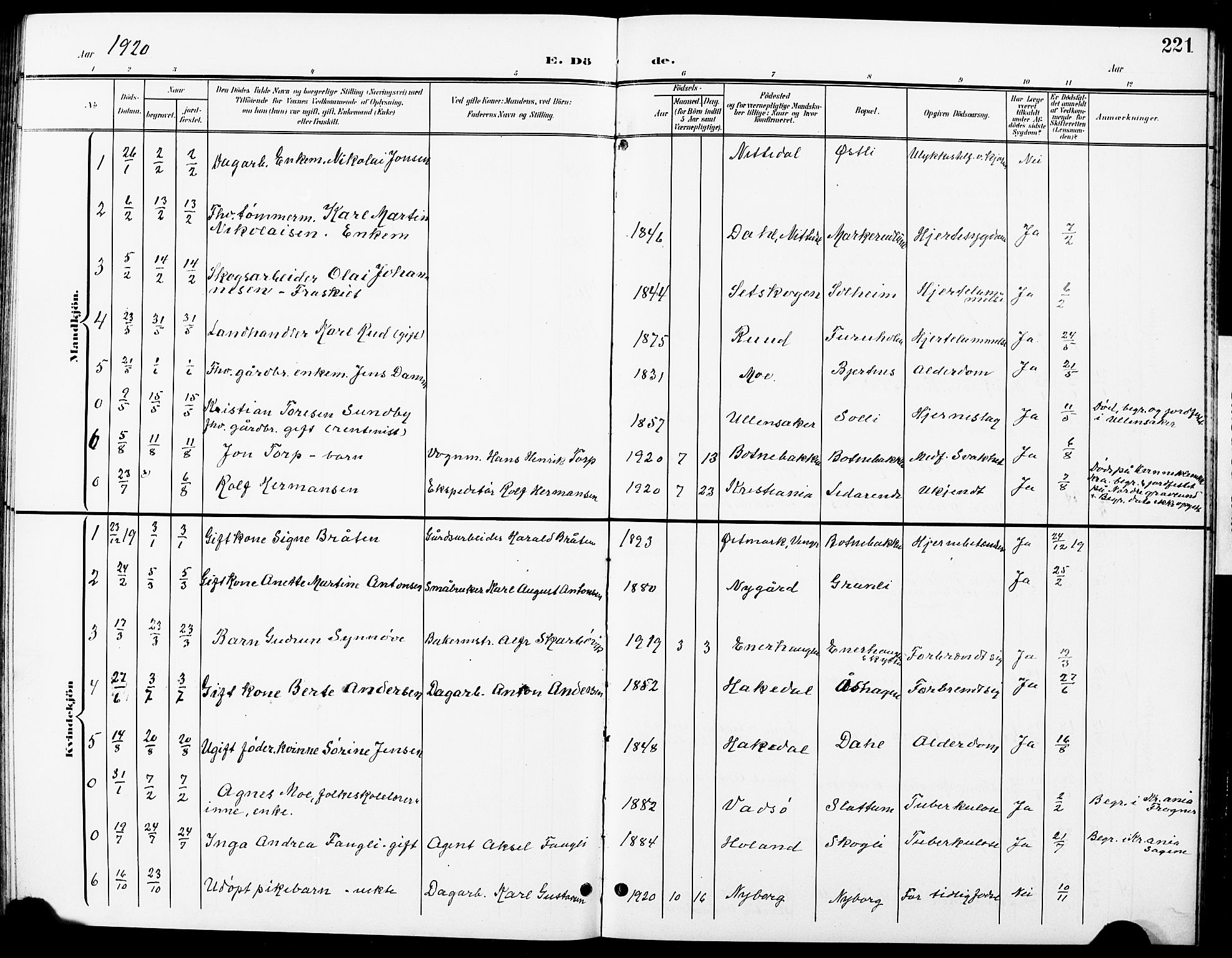 Nittedal prestekontor Kirkebøker, SAO/A-10365a/G/Ga/L0003: Parish register (copy) no. I 3, 1902-1929, p. 221