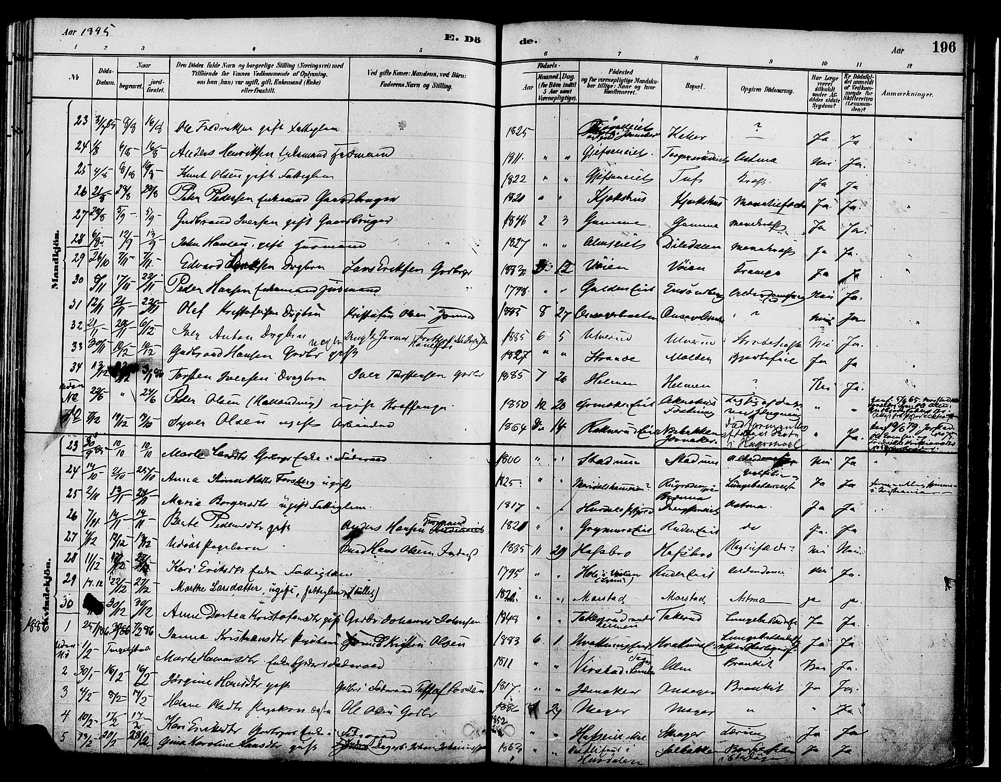 Gran prestekontor, SAH/PREST-112/H/Ha/Haa/L0014: Parish register (official) no. 14, 1880-1889, p. 196