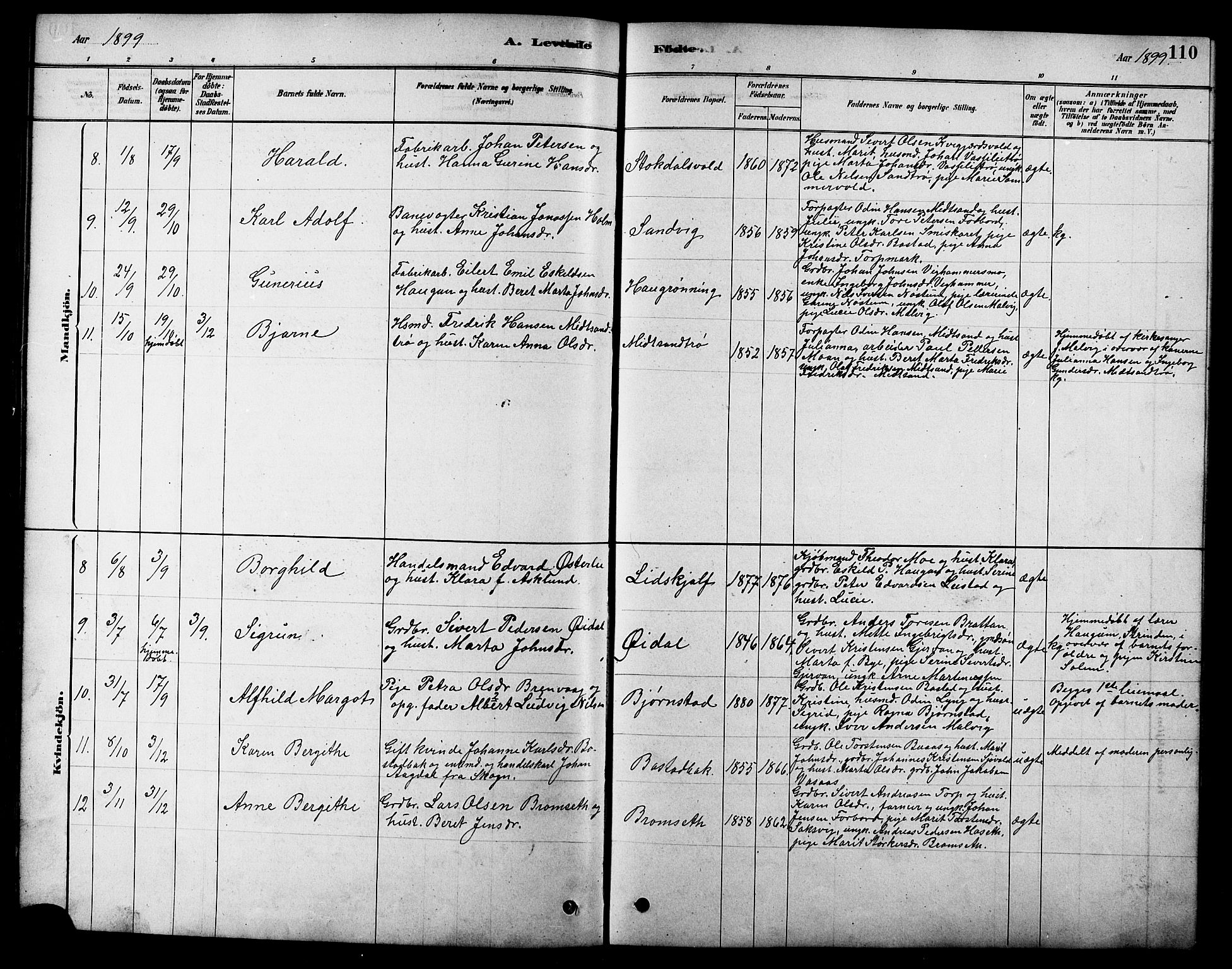 Ministerialprotokoller, klokkerbøker og fødselsregistre - Sør-Trøndelag, SAT/A-1456/616/L0423: Parish register (copy) no. 616C06, 1878-1903, p. 110