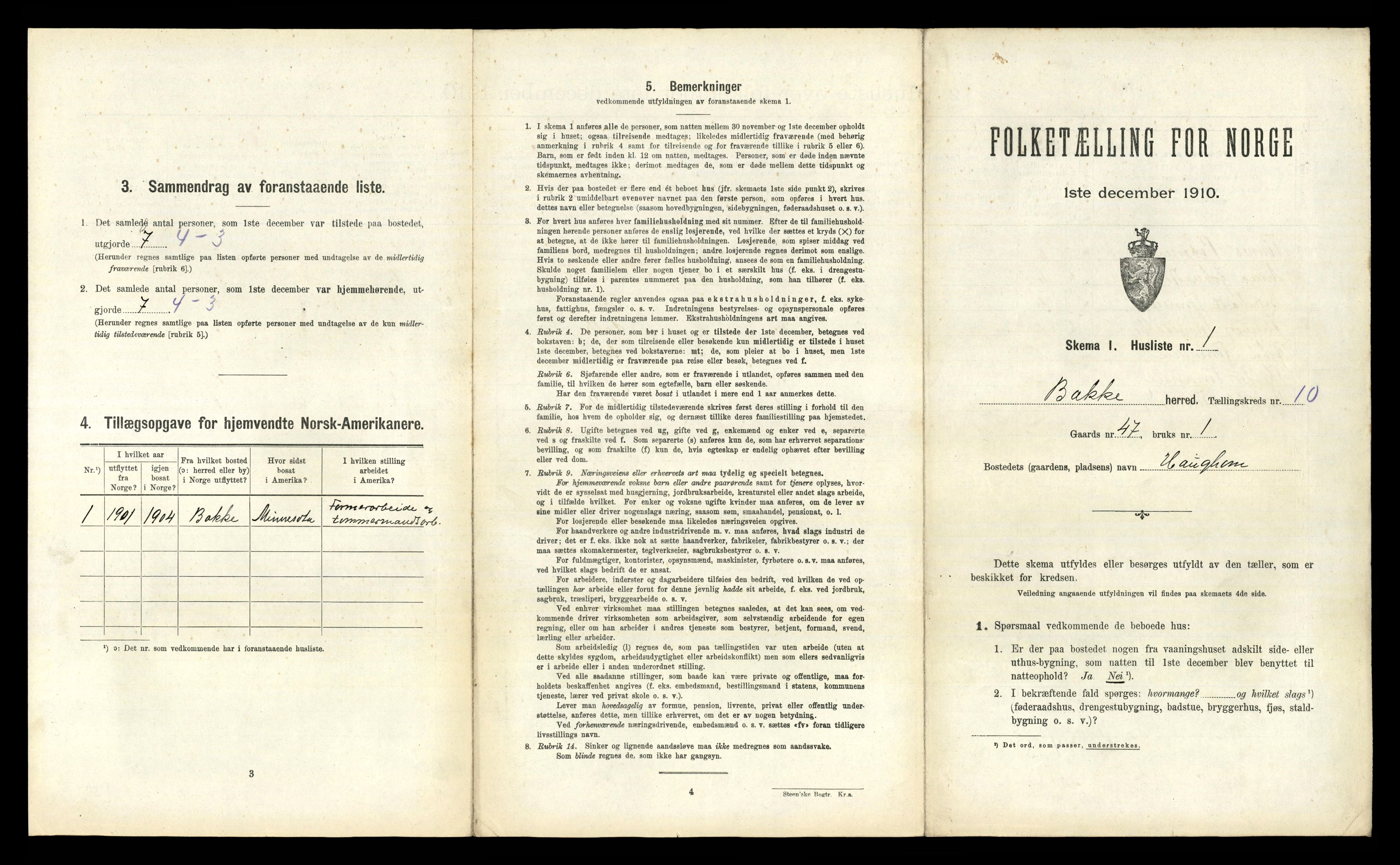 RA, 1910 census for Bakke, 1910, p. 477