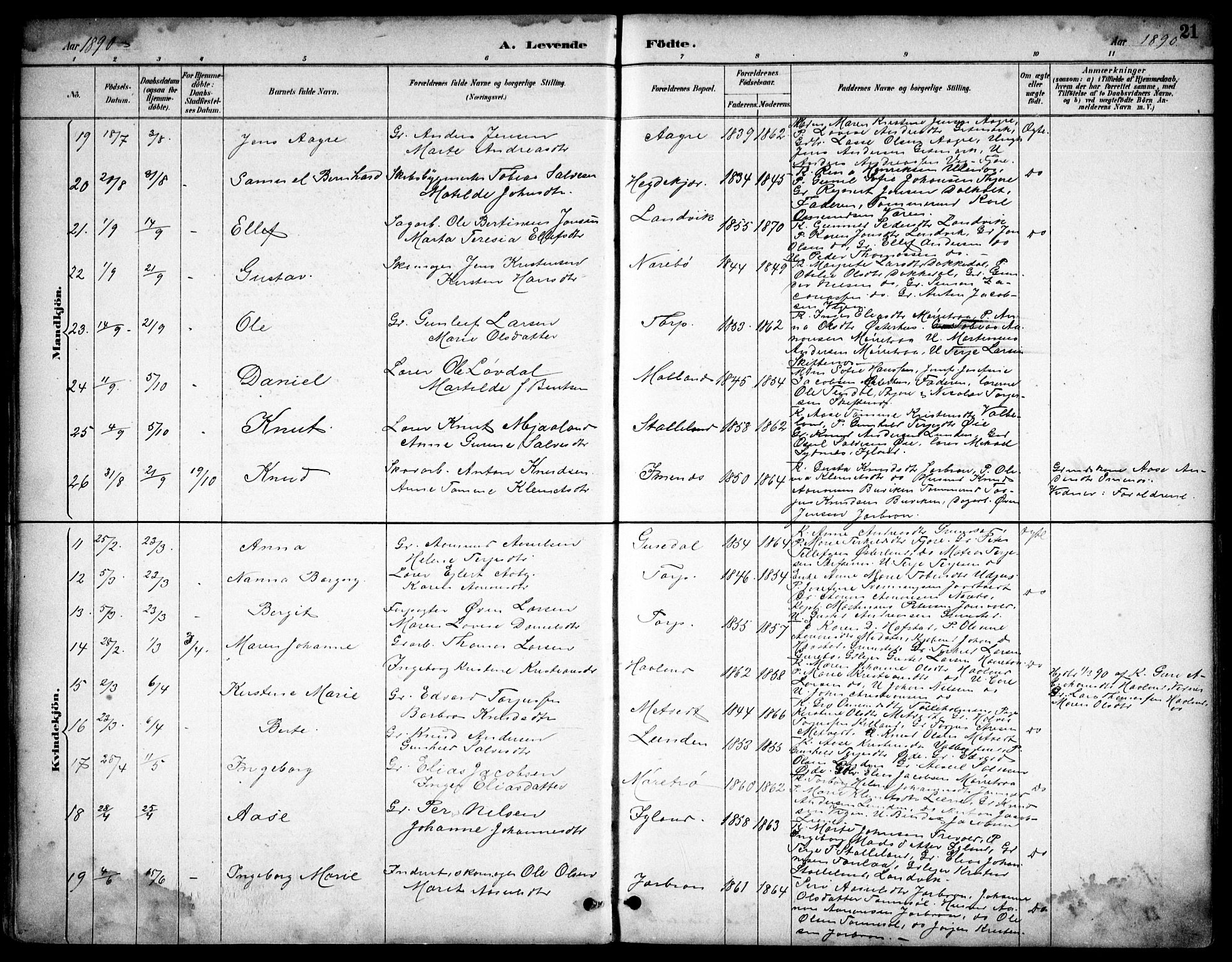 Hommedal sokneprestkontor, AV/SAK-1111-0023/F/Fb/Fbb/L0007: Parish register (copy) no. B 7, 1885-1904, p. 21