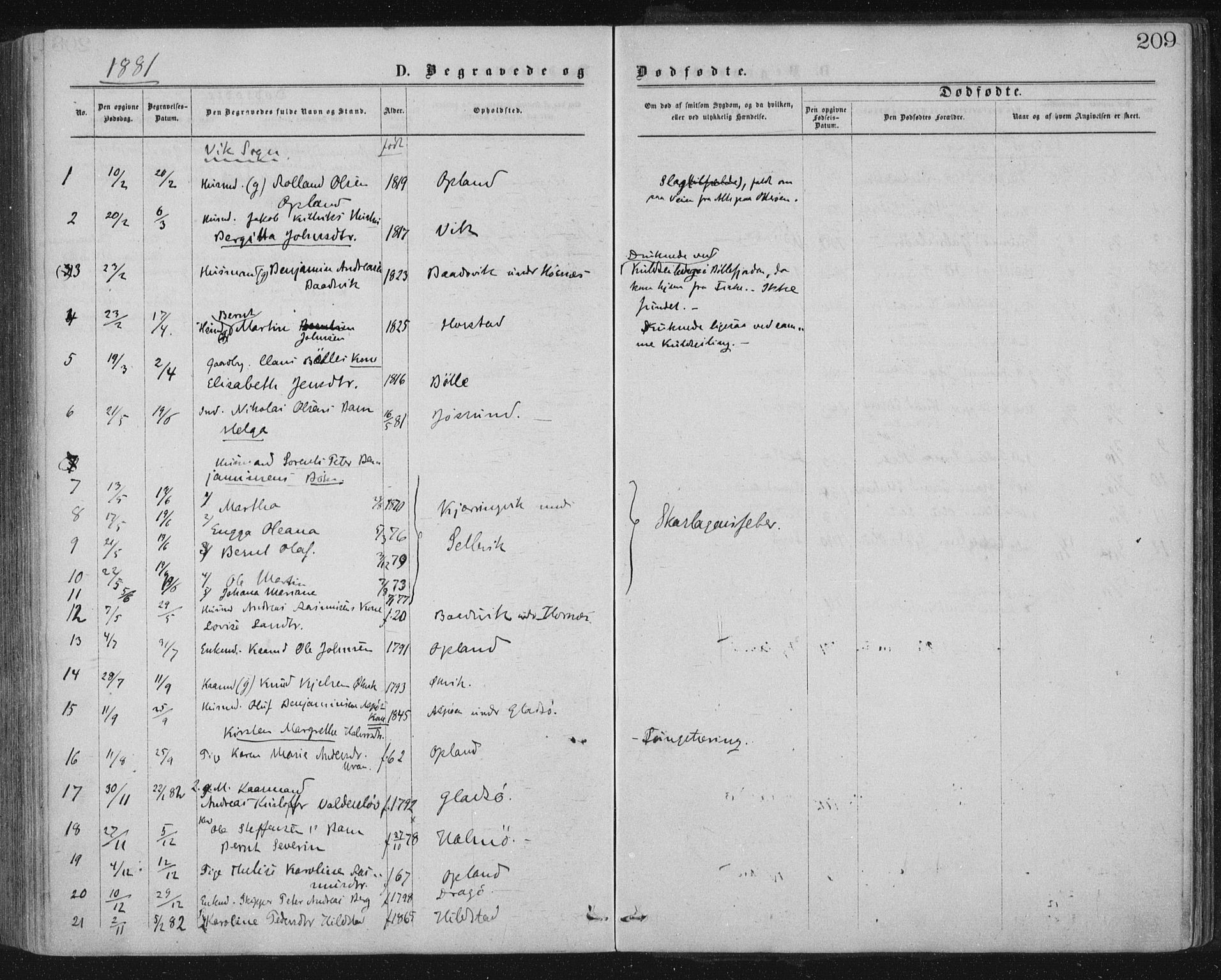 Ministerialprotokoller, klokkerbøker og fødselsregistre - Nord-Trøndelag, SAT/A-1458/771/L0596: Parish register (official) no. 771A03, 1870-1884, p. 209