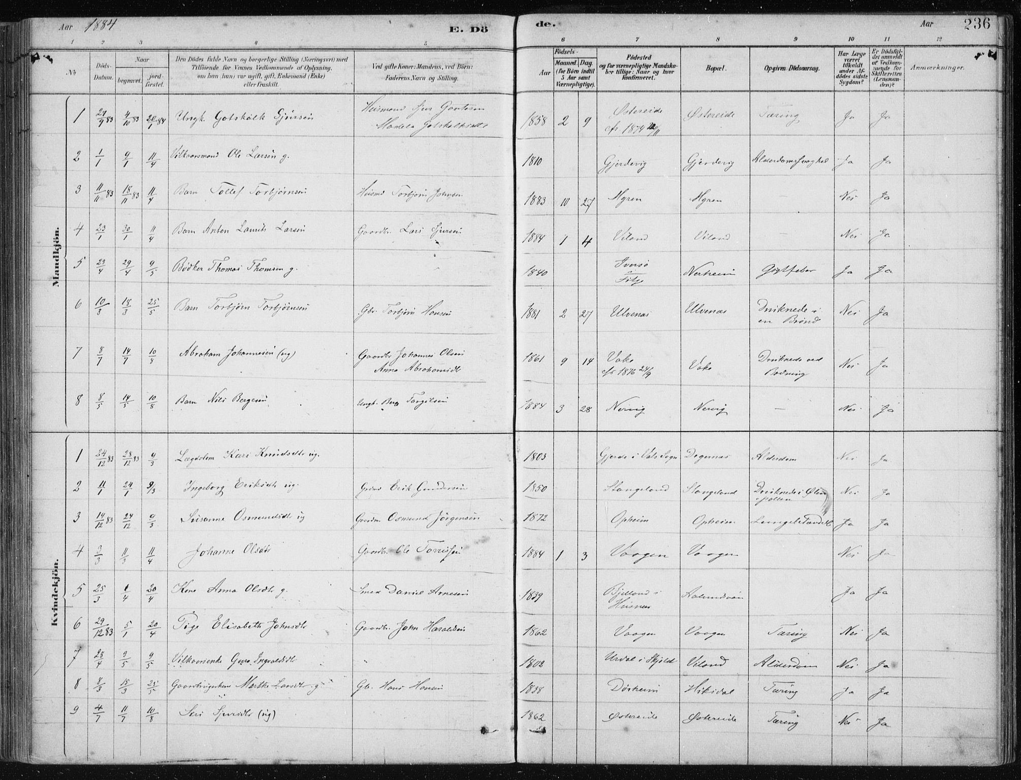 Fjelberg sokneprestembete, AV/SAB-A-75201/H/Haa: Parish register (official) no. D 1, 1879-1918, p. 236