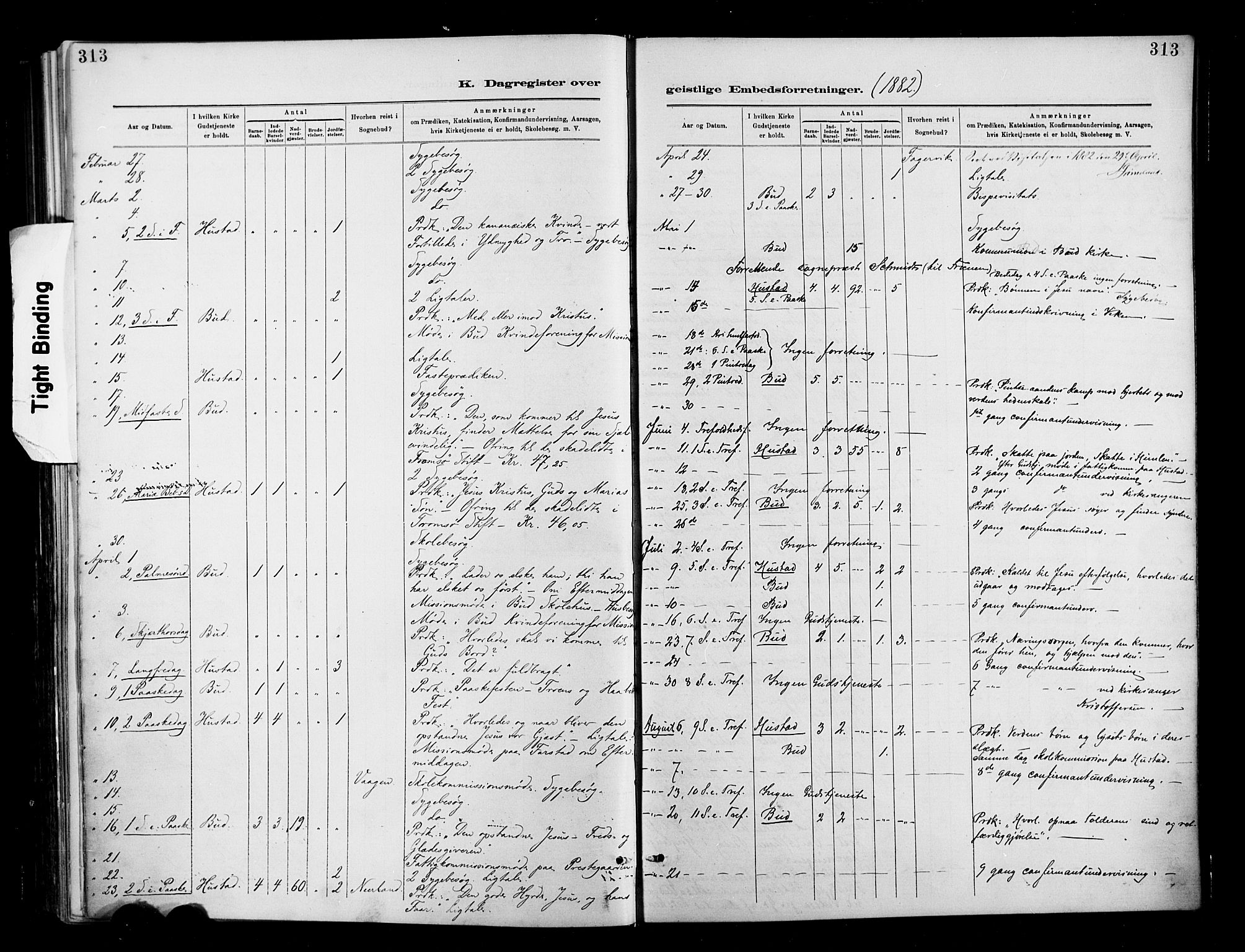 Ministerialprotokoller, klokkerbøker og fødselsregistre - Møre og Romsdal, SAT/A-1454/566/L0769: Parish register (official) no. 566A08, 1881-1903, p. 313