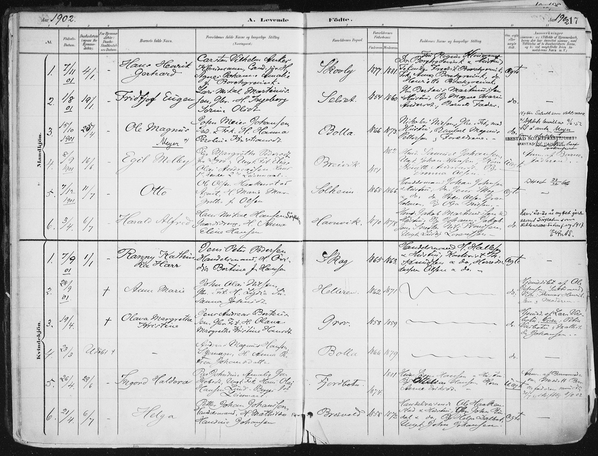 Ibestad sokneprestembete, AV/SATØ-S-0077/H/Ha/Haa/L0017kirke: Parish register (official) no. 17, 1901-1914, p. 17