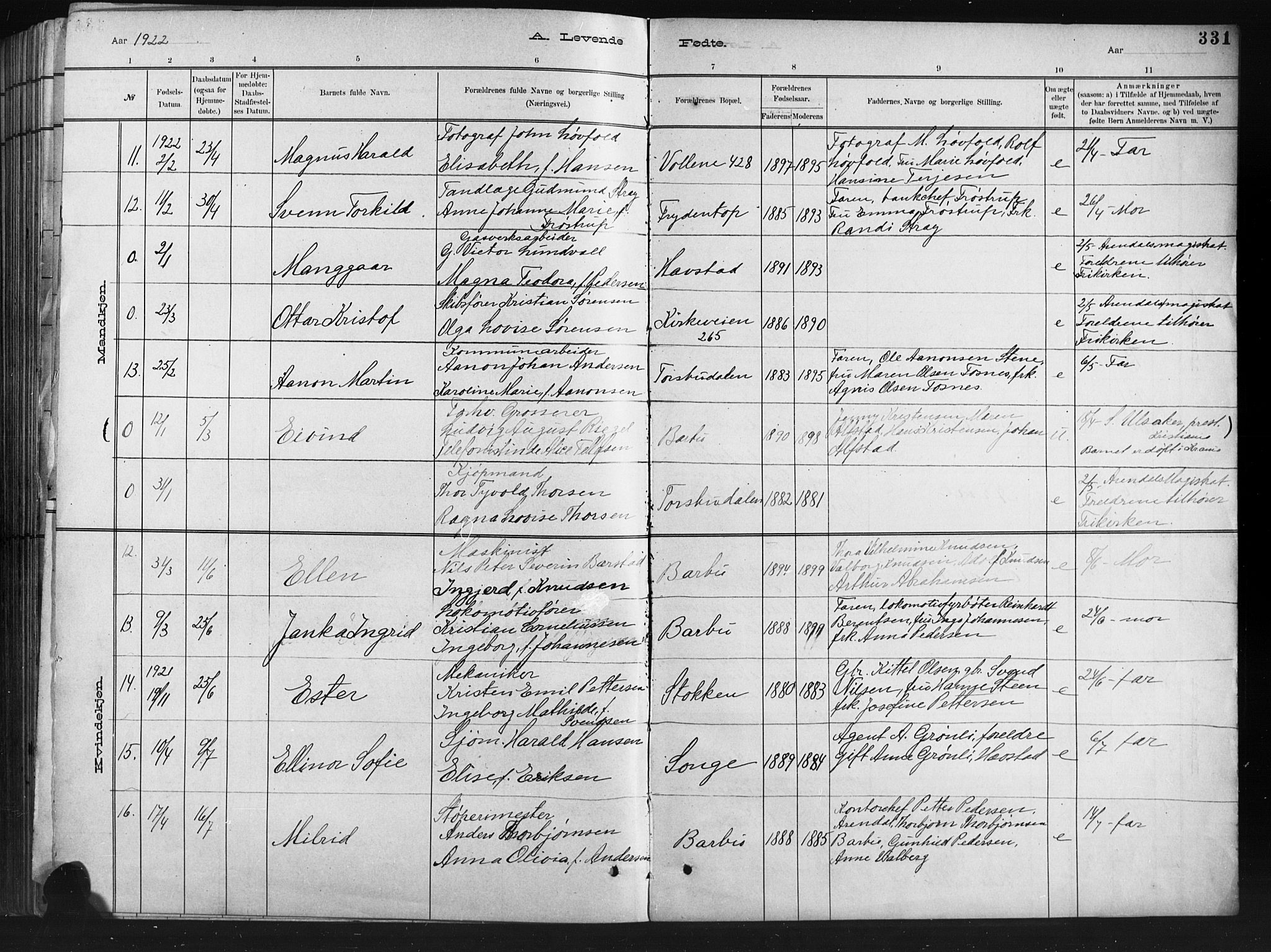 Barbu sokneprestkontor, AV/SAK-1111-0003/F/Fb/L0002: Parish register (copy) no. B 2, 1890-1922, p. 331