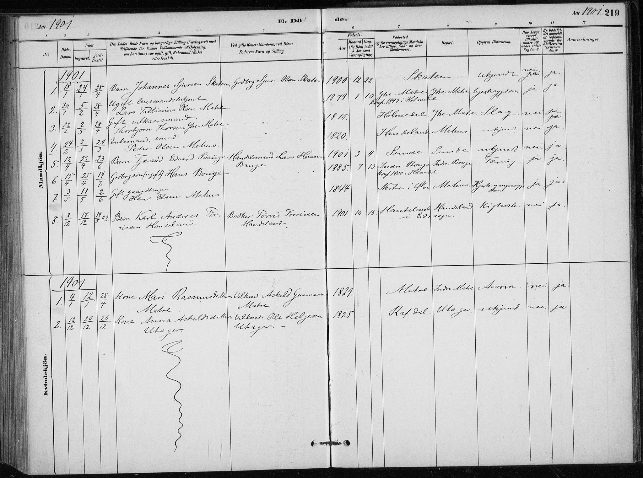 Skånevik sokneprestembete, SAB/A-77801/H/Haa: Parish register (official) no. C  1, 1879-1917, p. 219