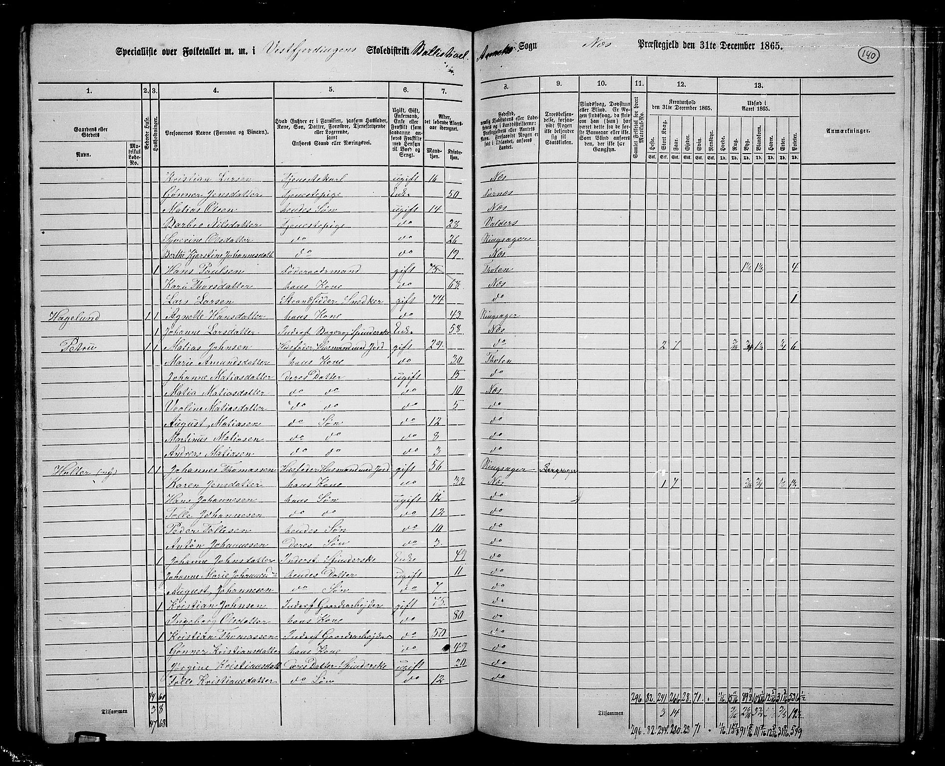 RA, 1865 census for Nes, 1865, p. 120