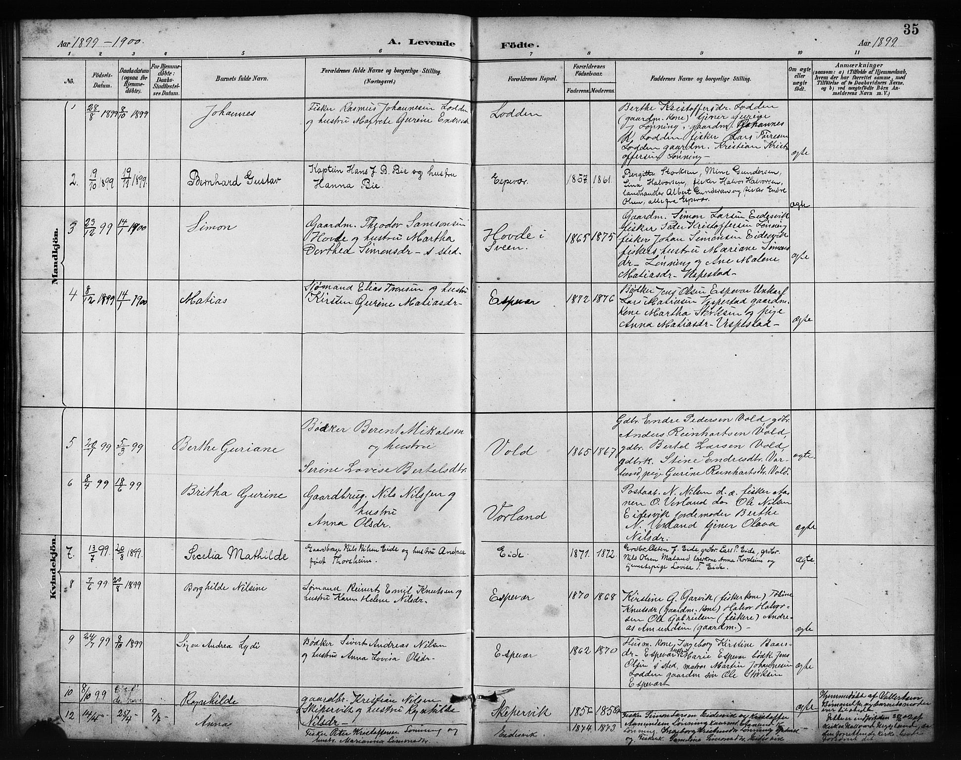 Finnås sokneprestembete, AV/SAB-A-99925/H/Ha/Hab/Habc/L0002: Parish register (copy) no. C 2, 1887-1906, p. 35