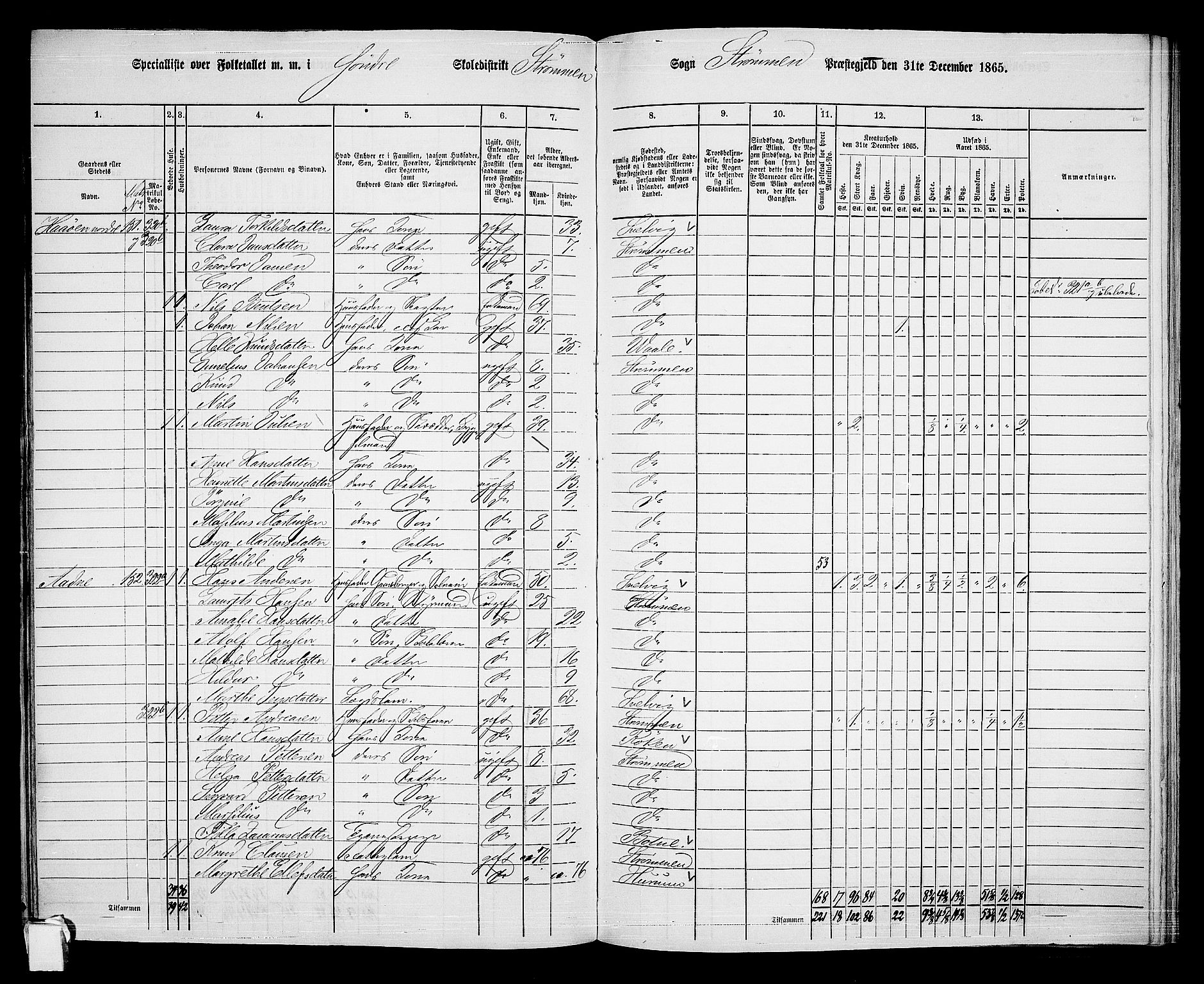 RA, 1865 census for Strømm, 1865, p. 11