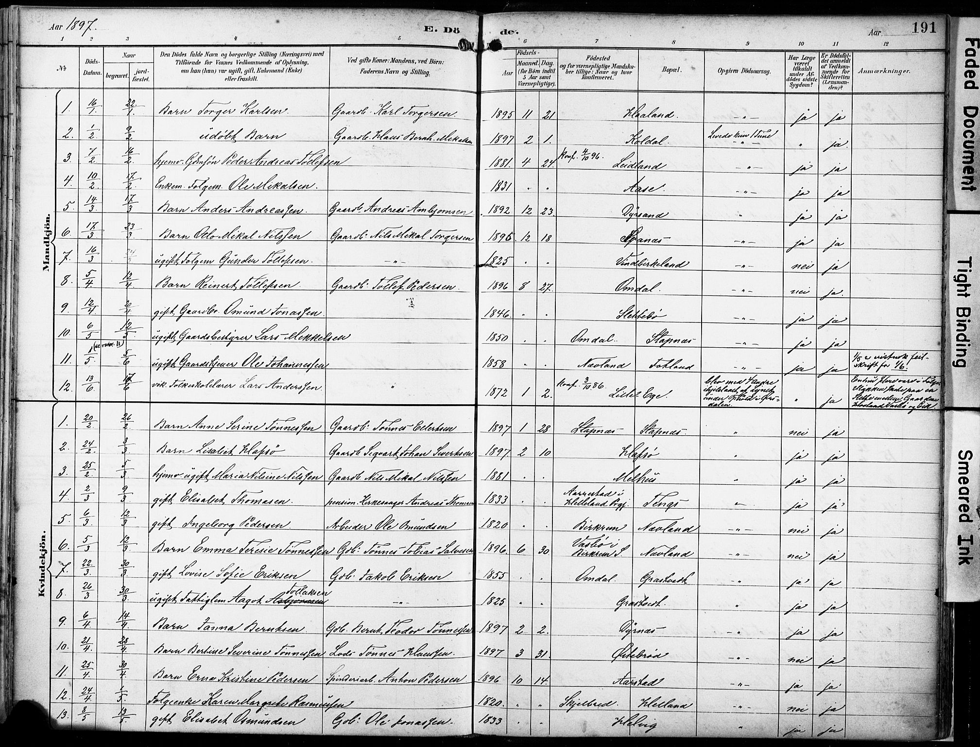 Eigersund sokneprestkontor, AV/SAST-A-101807/S08/L0018: Parish register (official) no. A 17, 1892-1905, p. 191