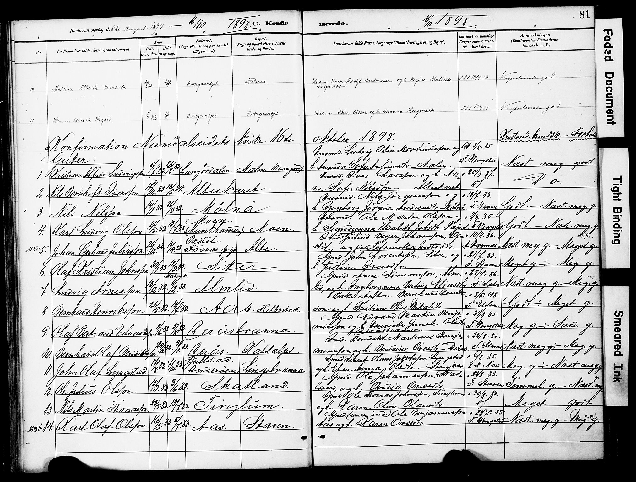 Ministerialprotokoller, klokkerbøker og fødselsregistre - Nord-Trøndelag, SAT/A-1458/742/L0409: Parish register (official) no. 742A02, 1891-1905, p. 81