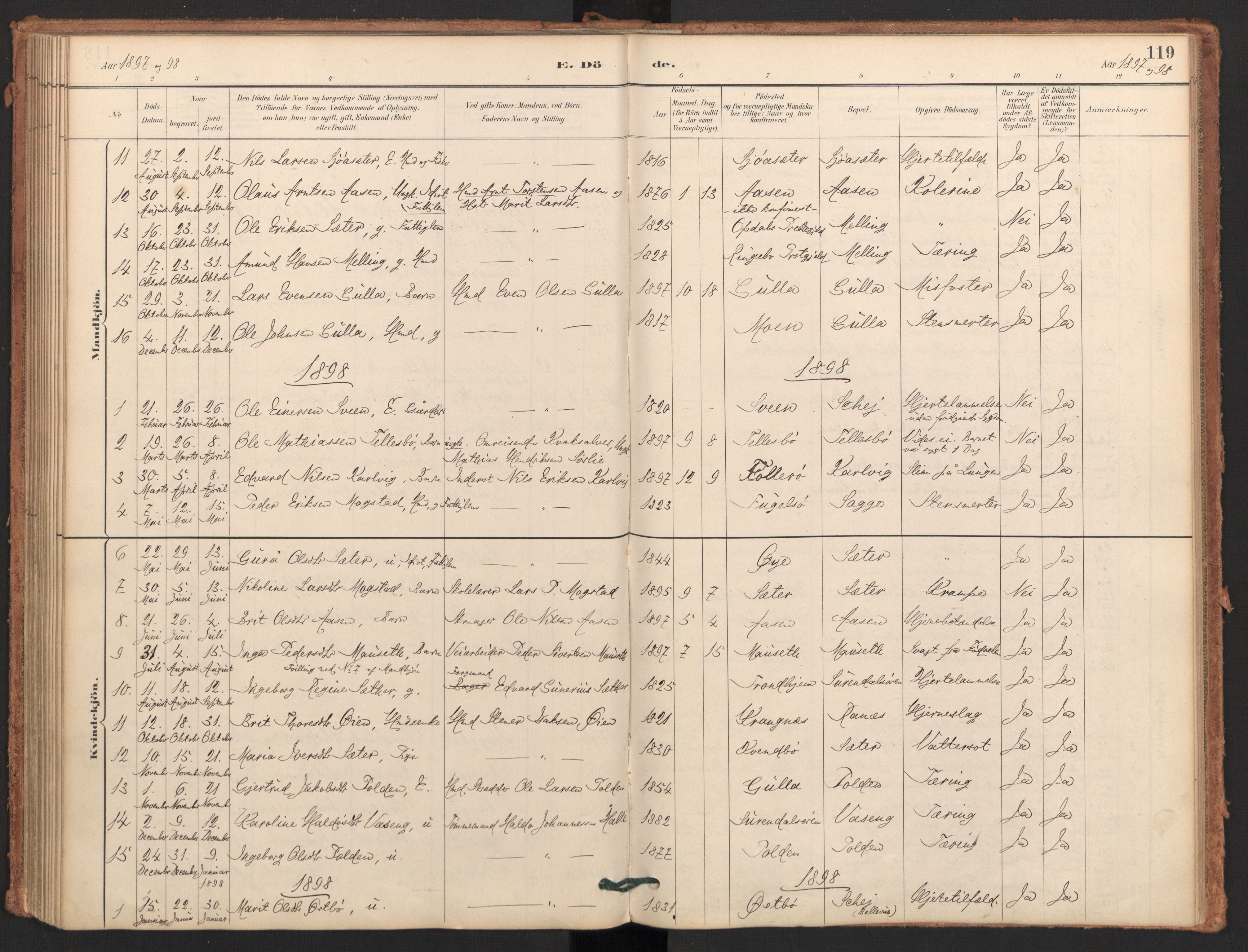 Ministerialprotokoller, klokkerbøker og fødselsregistre - Møre og Romsdal, AV/SAT-A-1454/596/L1056: Parish register (official) no. 596A01, 1885-1900, p. 119