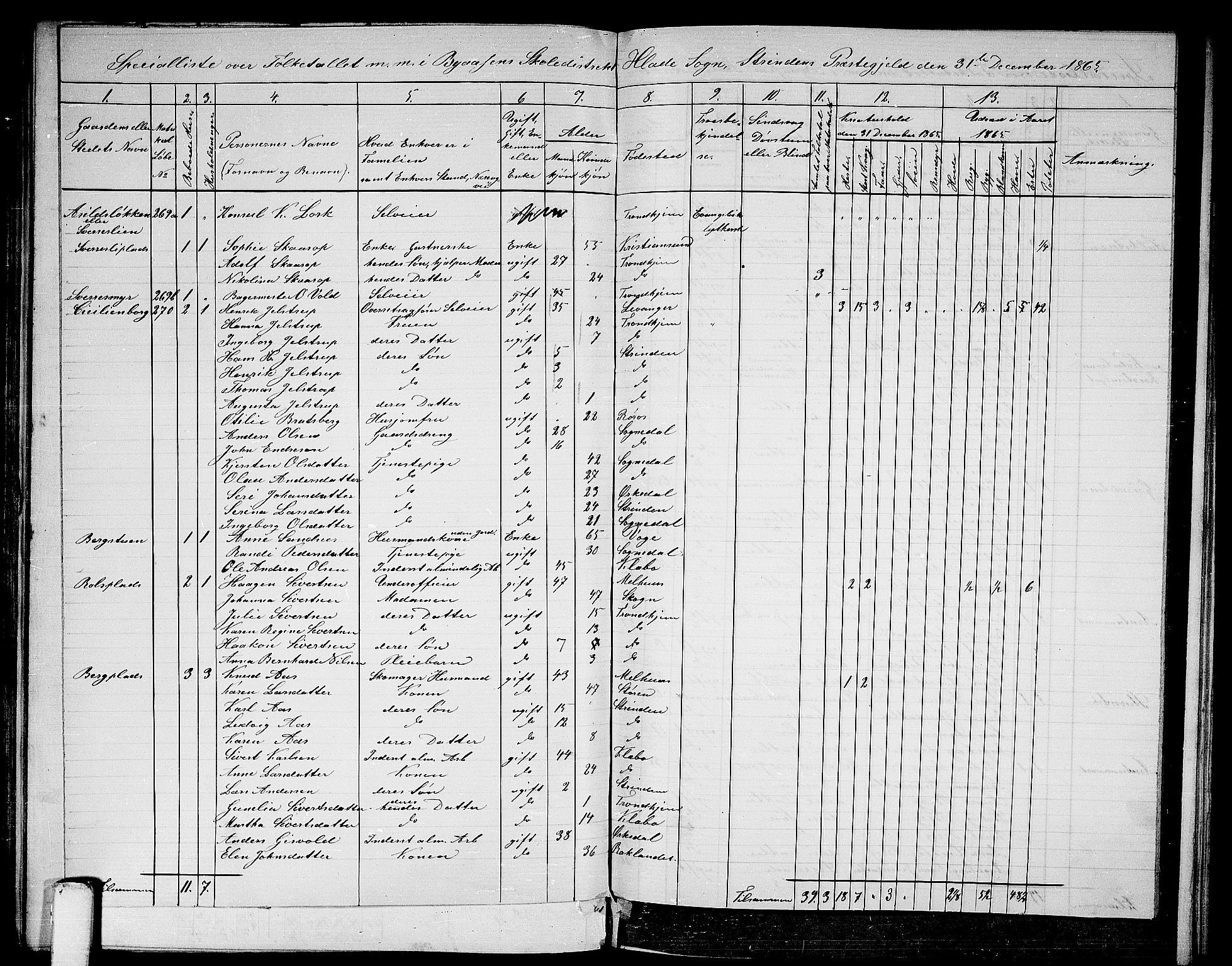 RA, 1865 census for Strinda, 1865, p. 146