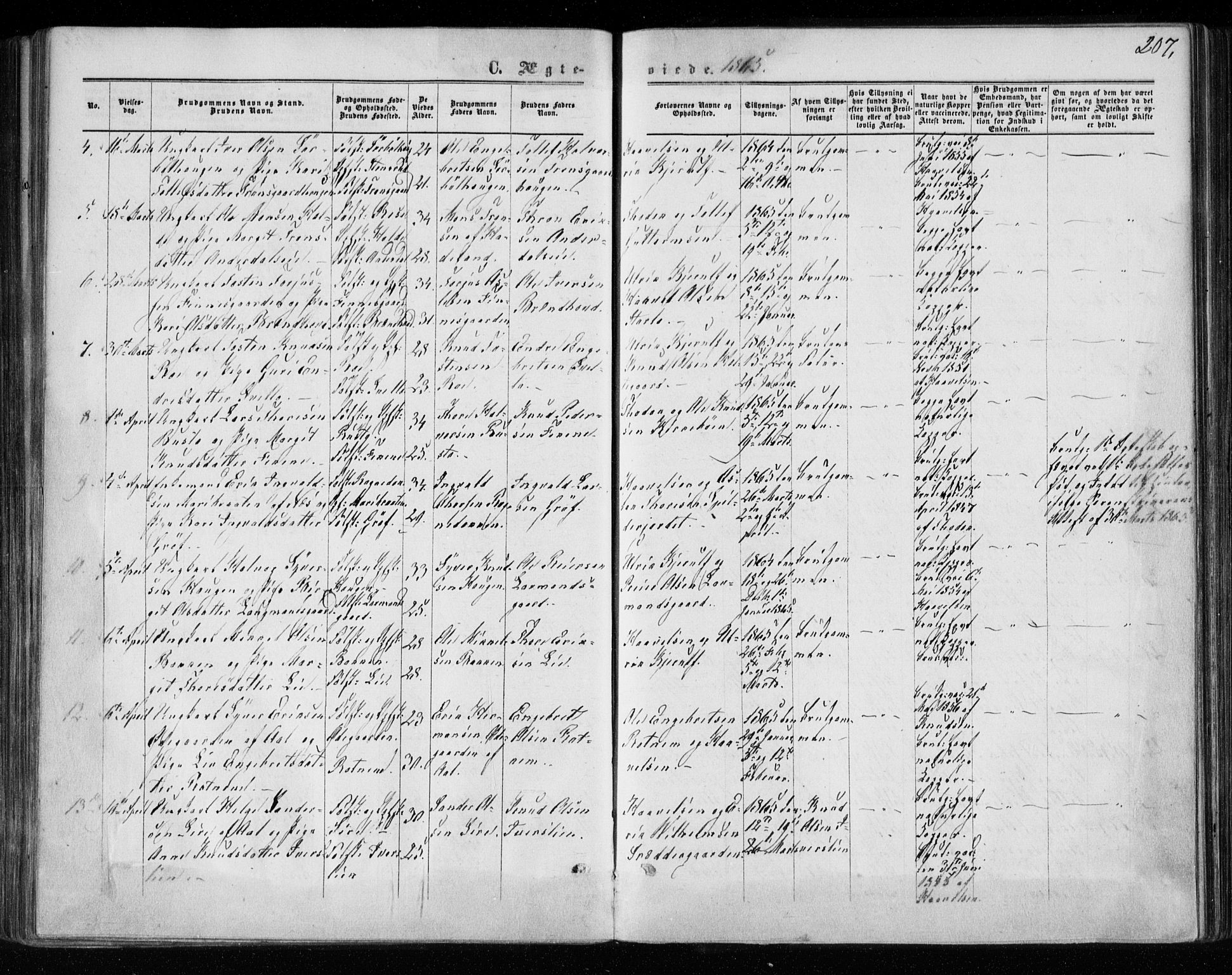 Gol kirkebøker, AV/SAKO-A-226/F/Fa/L0003: Parish register (official) no. I 3, 1863-1875, p. 207